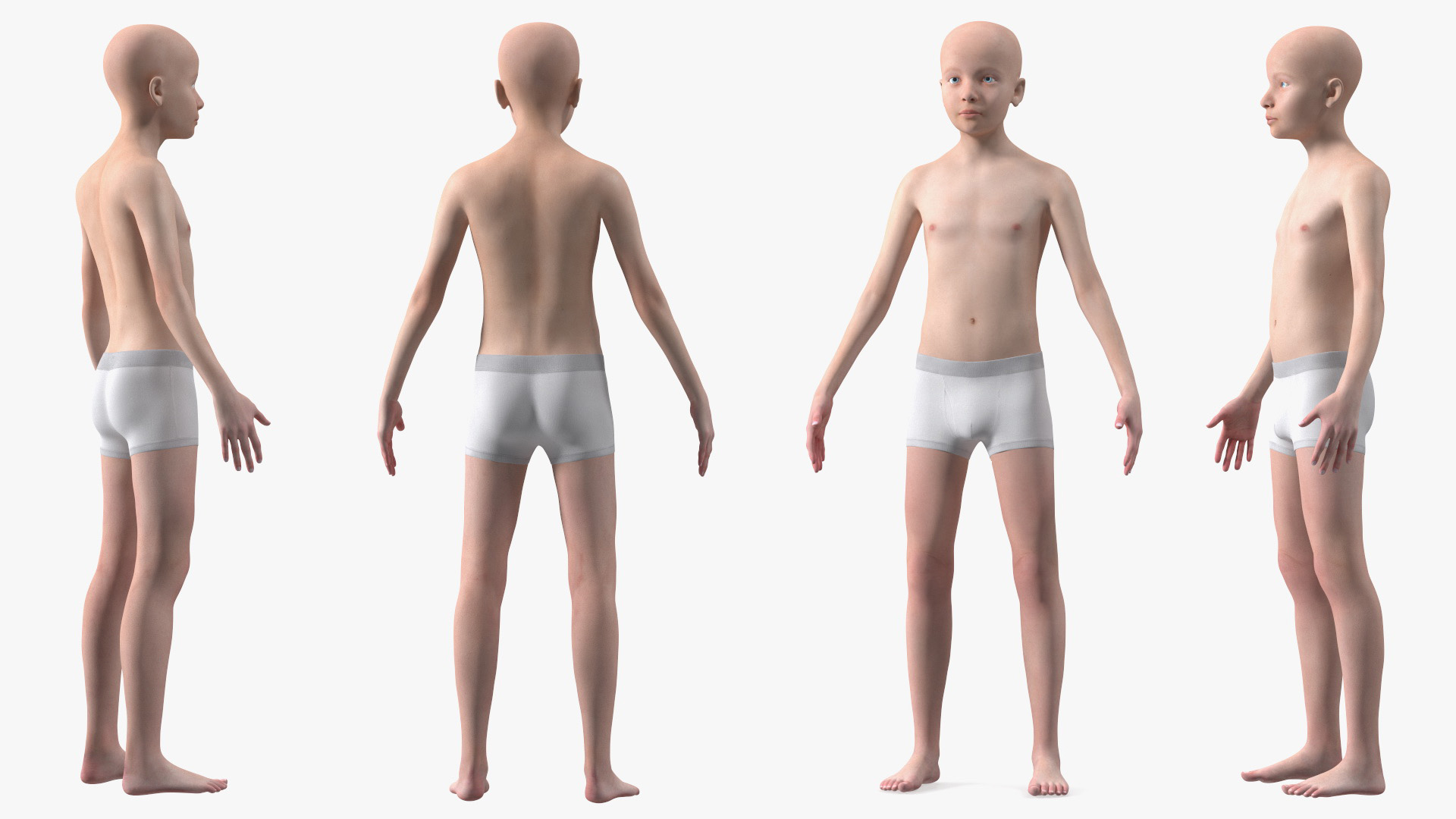 3D Boy Full Body Anatomy