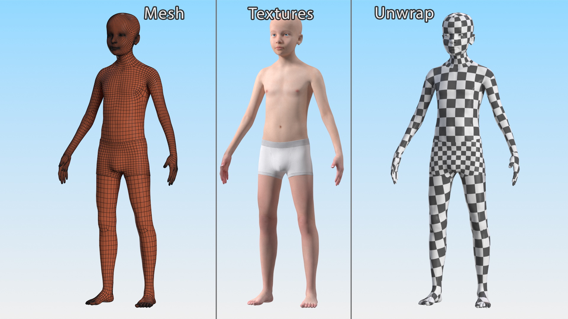 3D Boy Full Body Anatomy