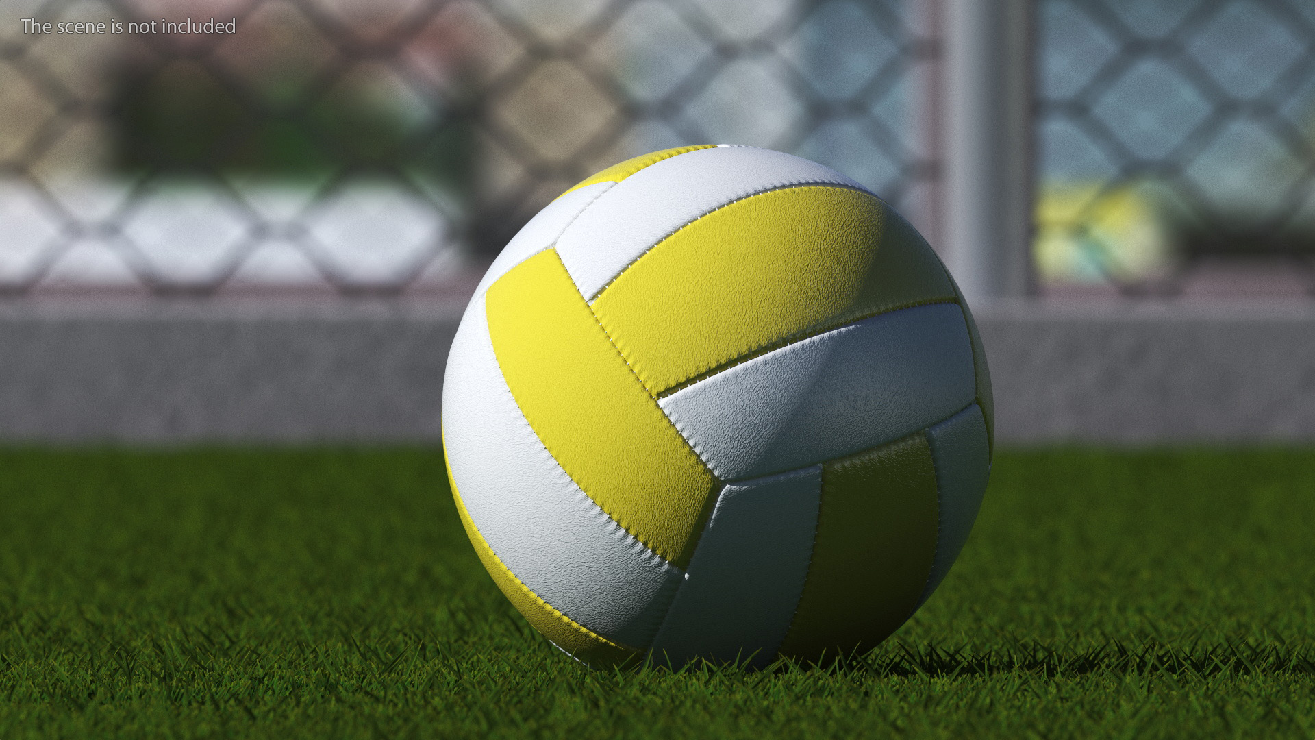 3D model Training Volley Ball