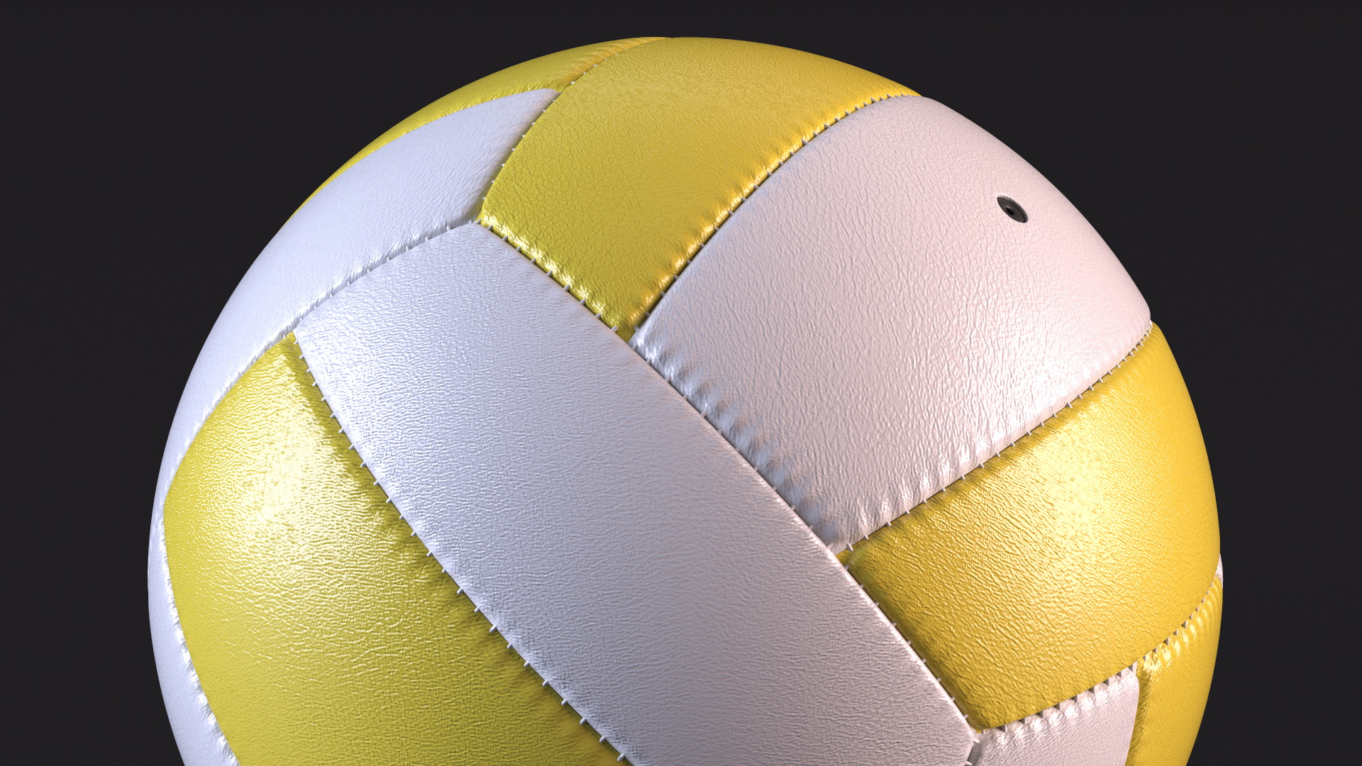 3D model Training Volley Ball