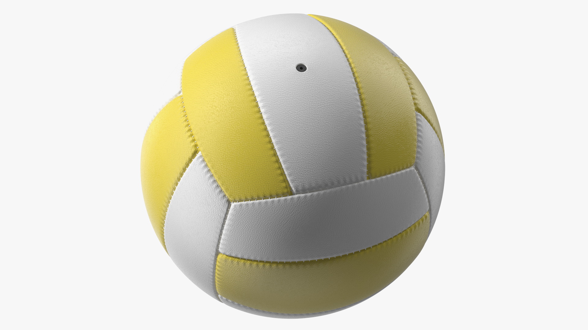3D model Training Volley Ball