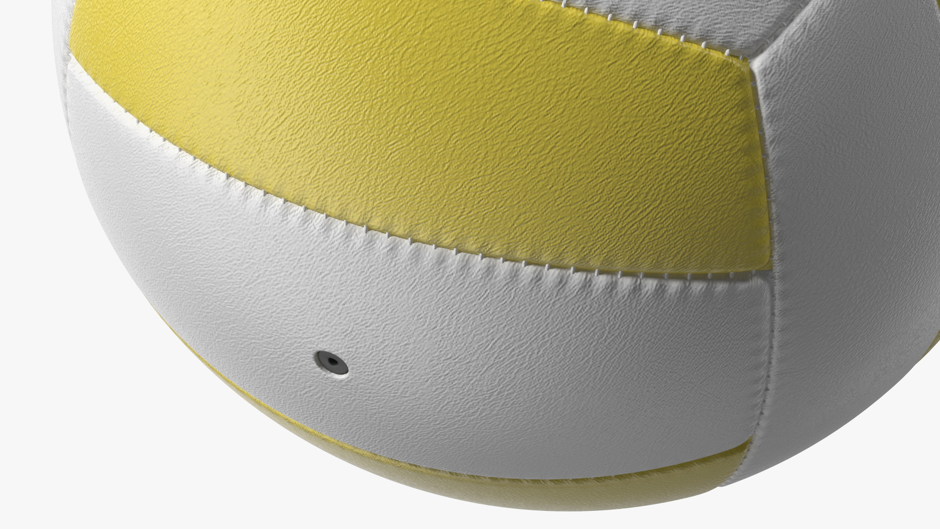 3D model Training Volley Ball