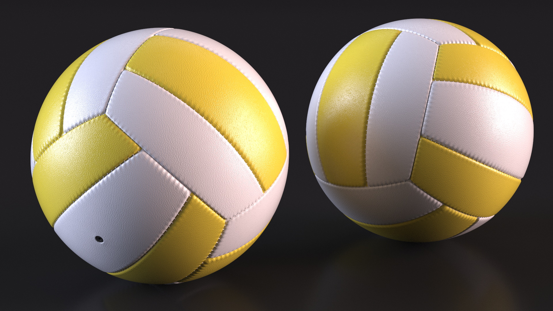 3D model Training Volley Ball