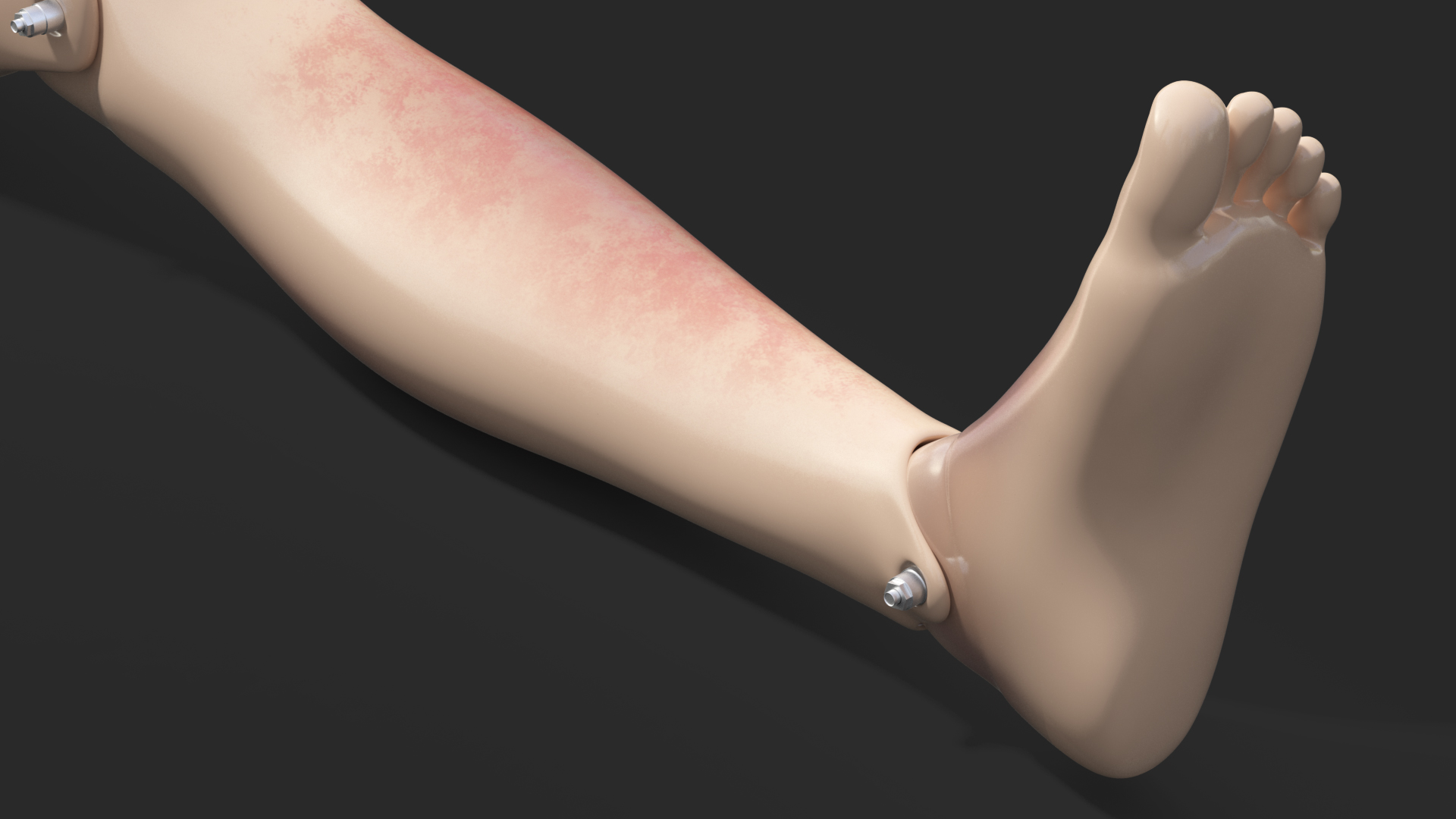 3D model Injured Firstaid Mannequin Leg