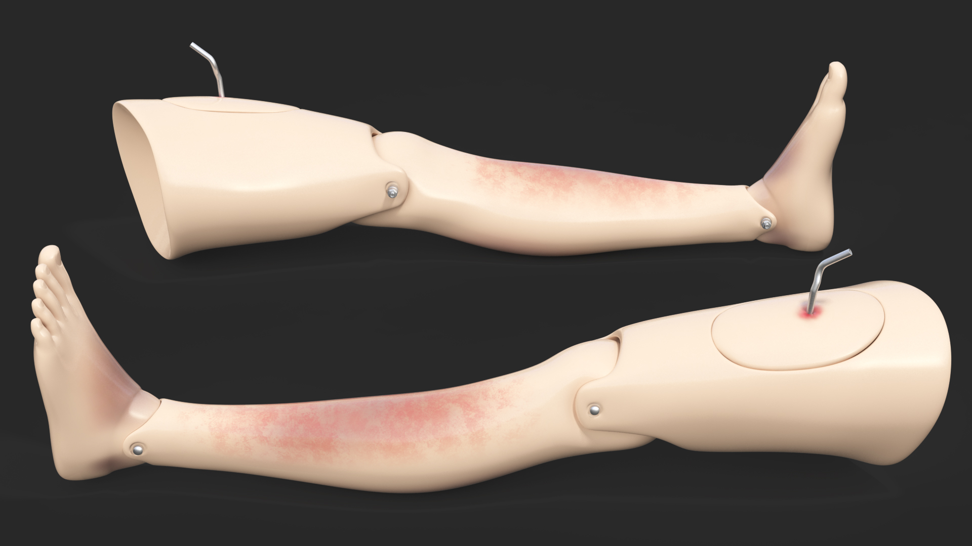 3D model Injured Firstaid Mannequin Leg