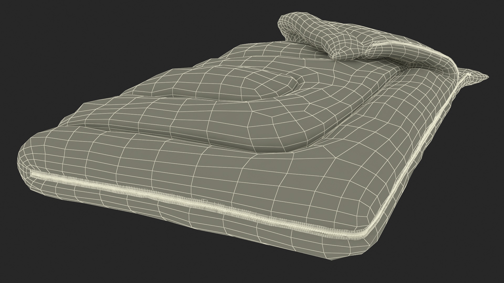 Single Camping Sleeping Bag 3D