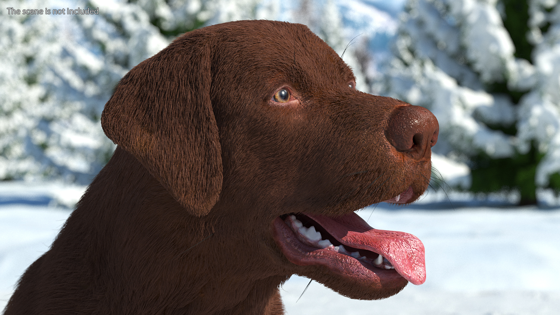 3D model Labrador Dog Brown Sitting Fur