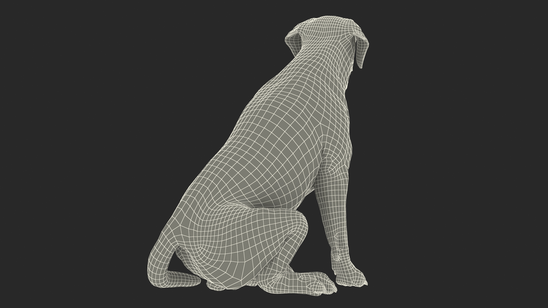 3D model Labrador Dog Brown Sitting Fur