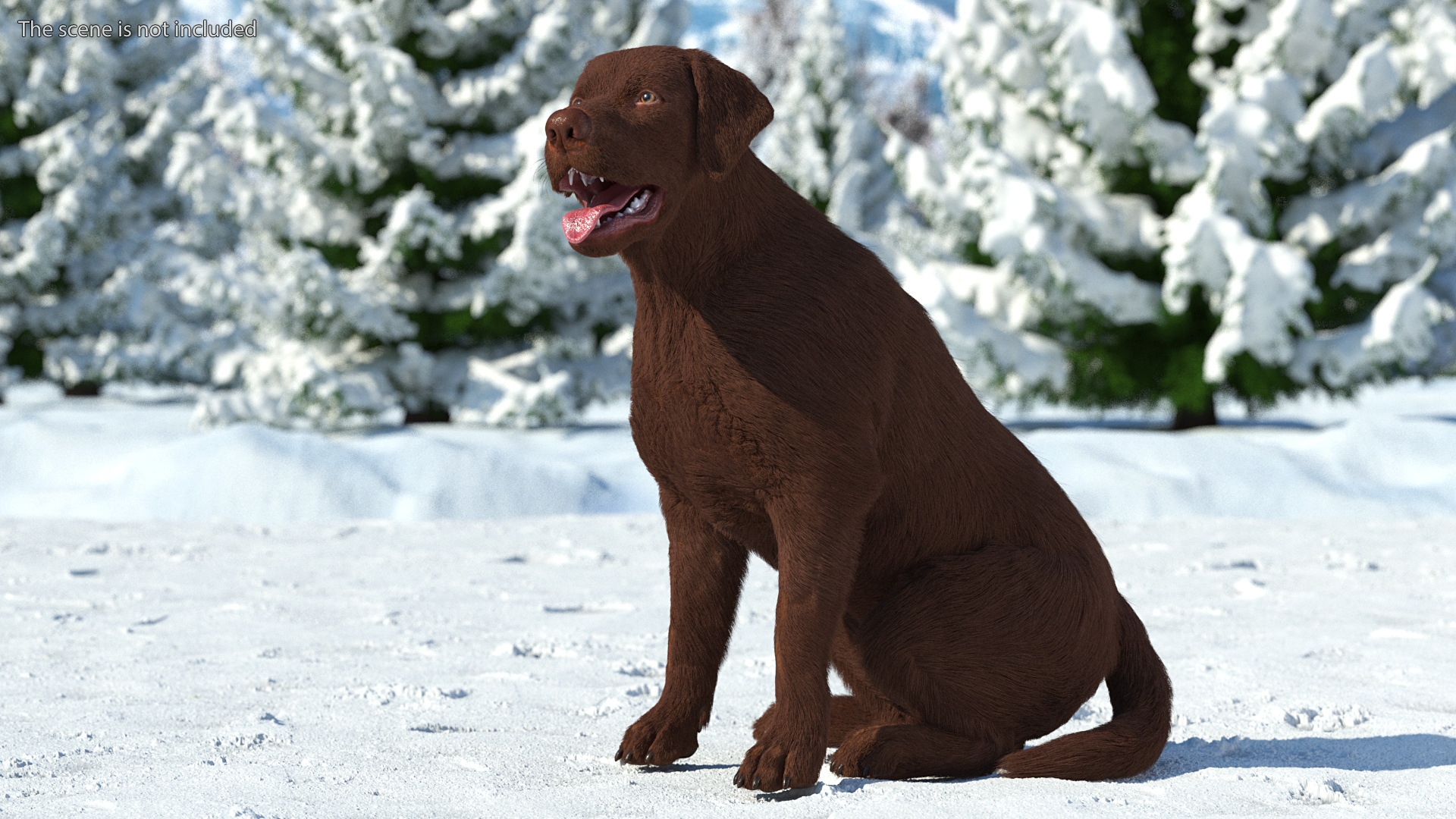 3D model Labrador Dog Brown Sitting Fur