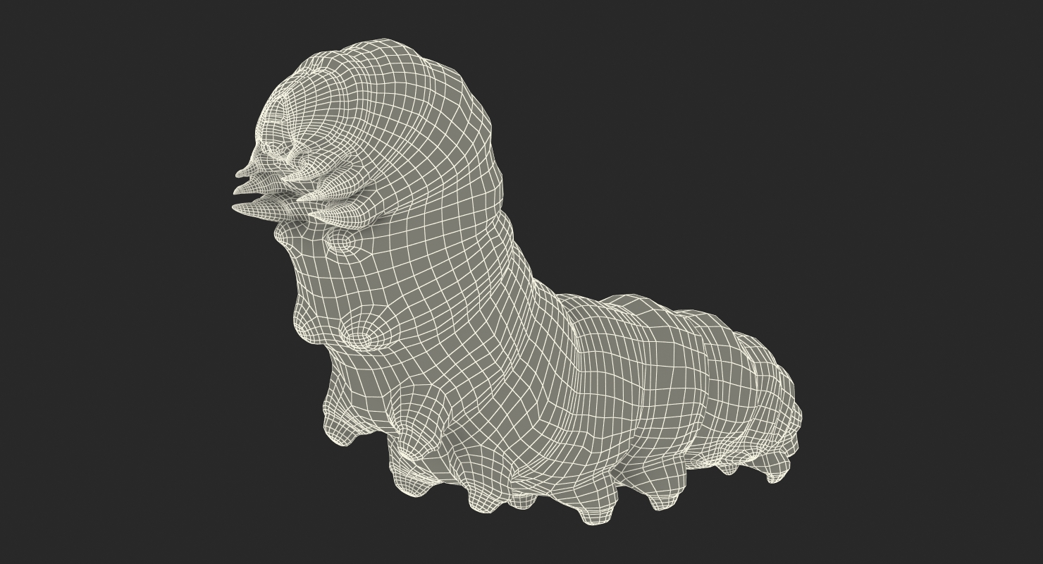 Caterpillar Pose 2 with Fur 3D
