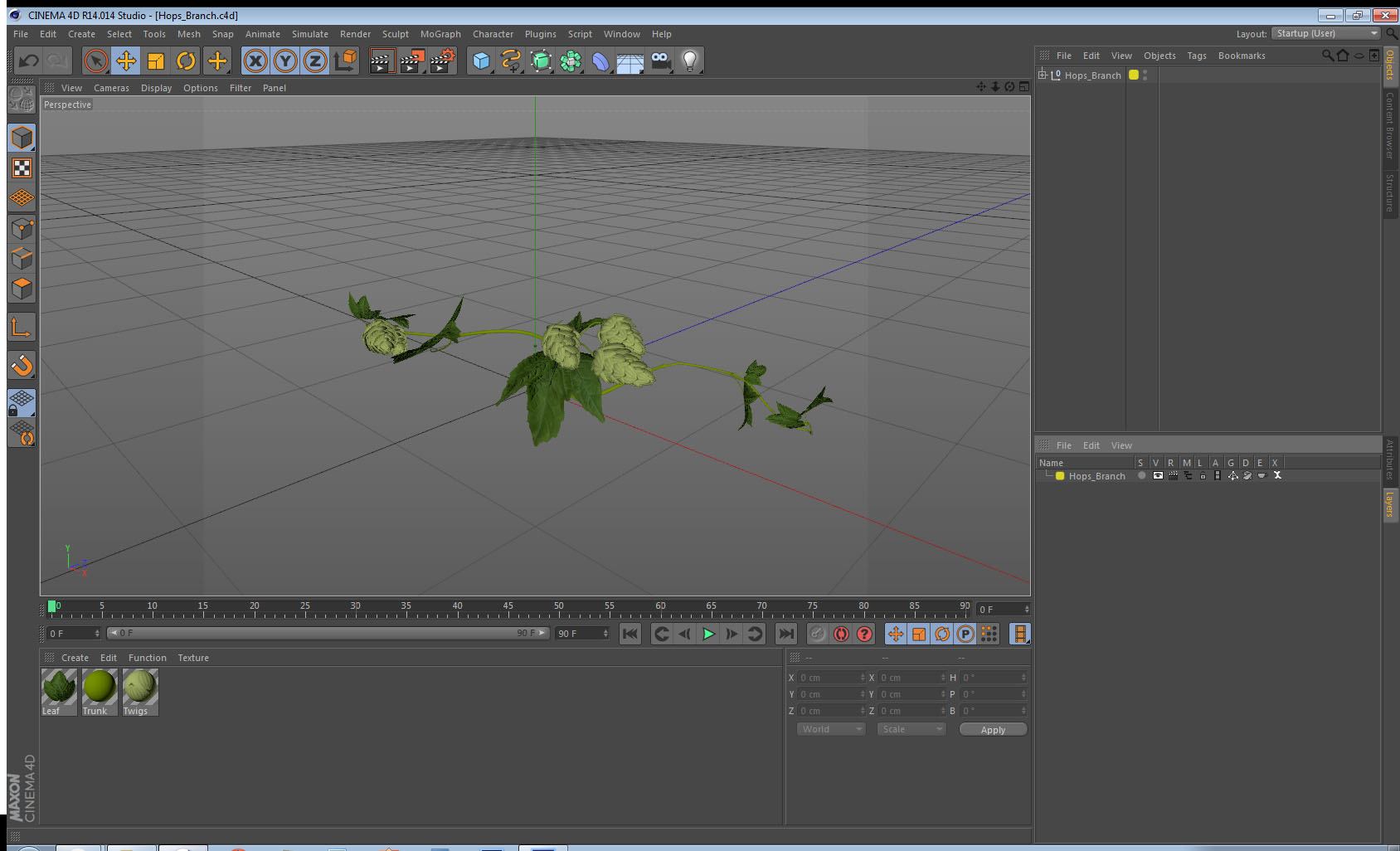 3D Hops Branch