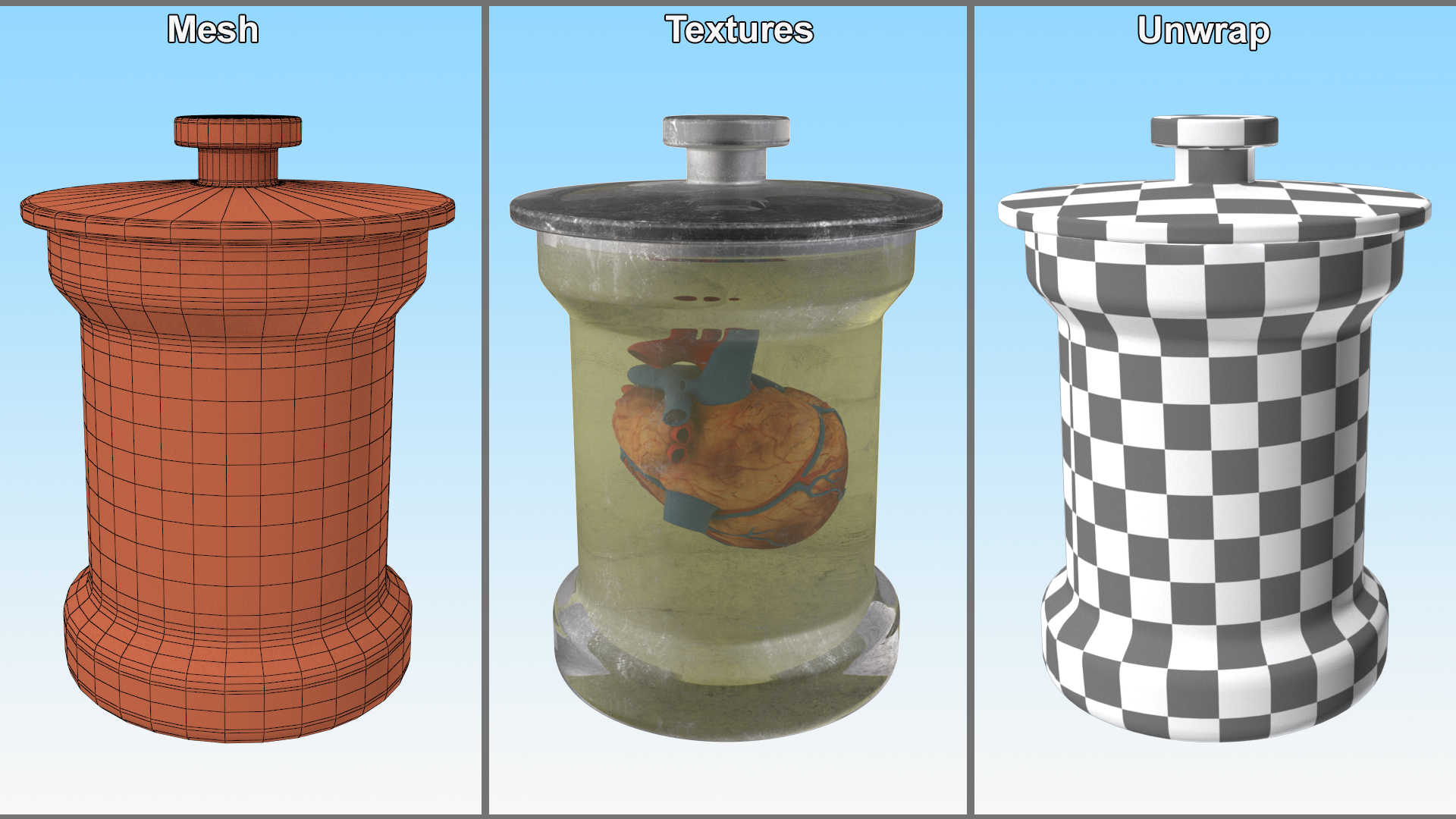 3D Human Heart in Old Glass Jar model