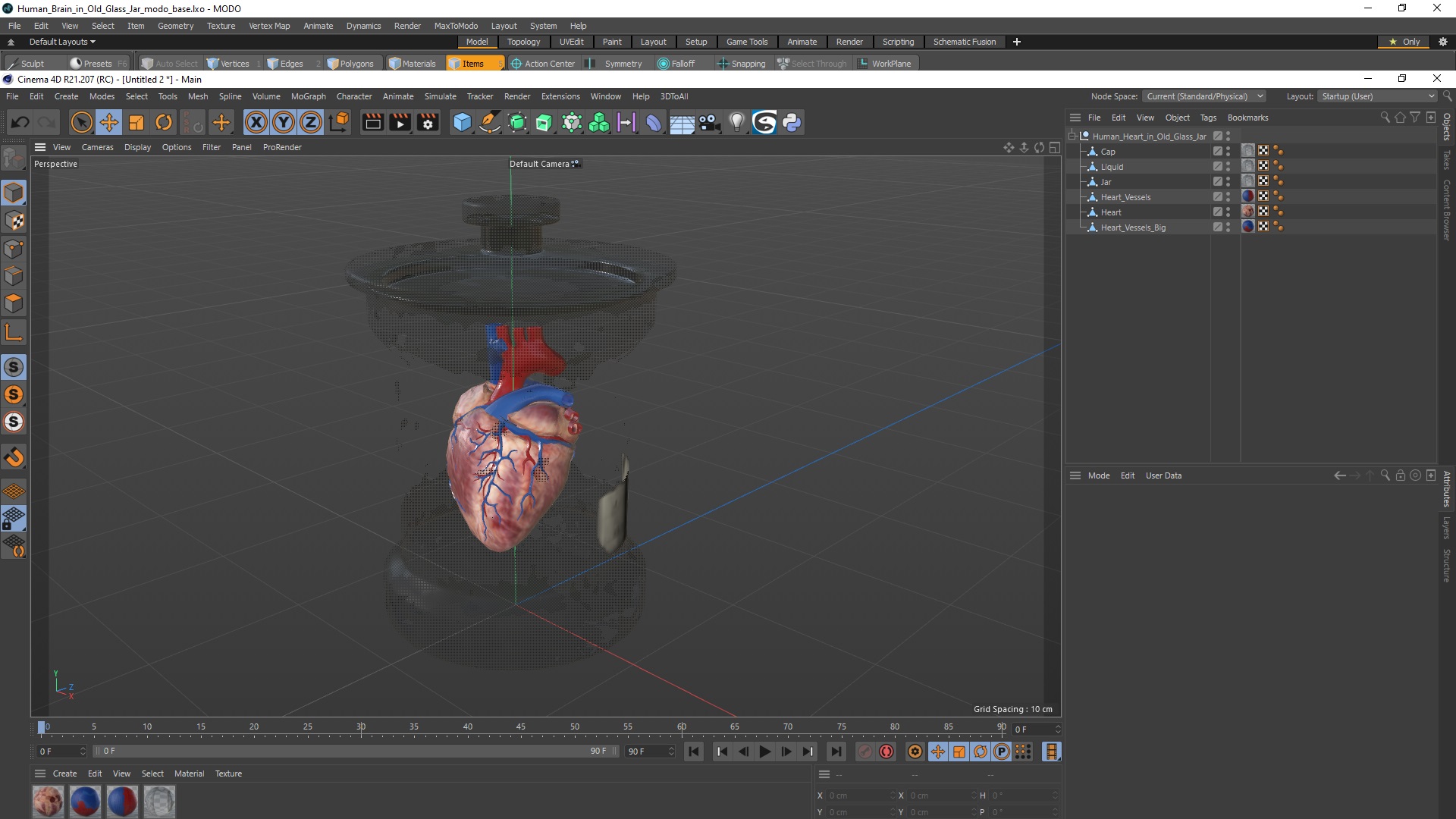 3D Human Heart in Old Glass Jar model