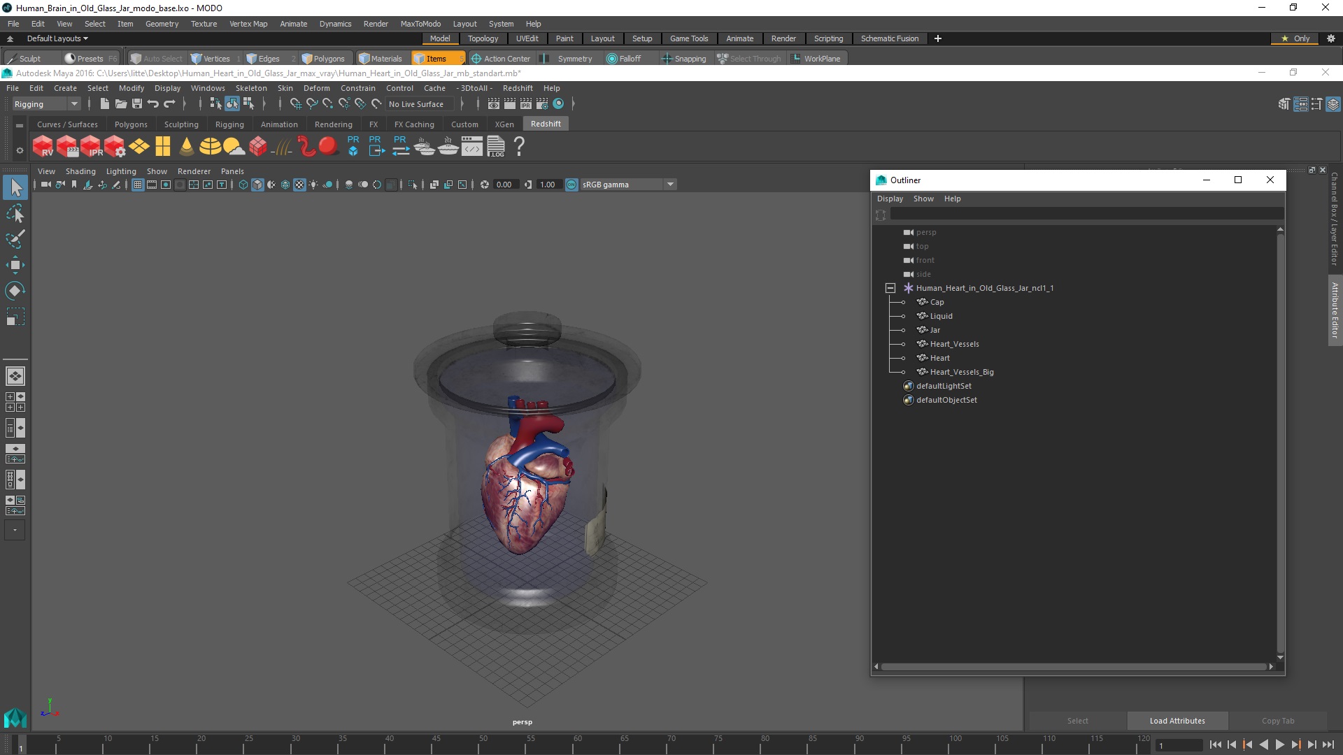 3D Human Heart in Old Glass Jar model