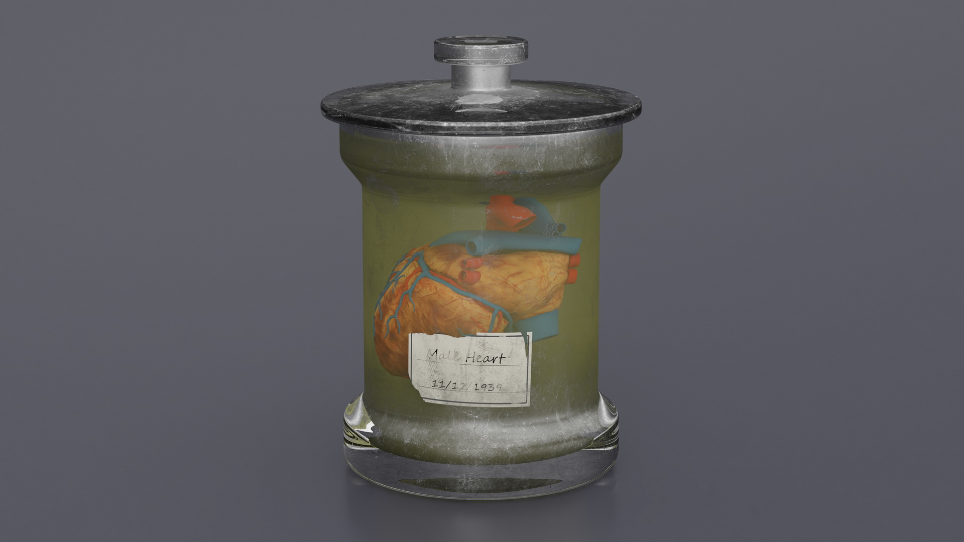3D Human Heart in Old Glass Jar model