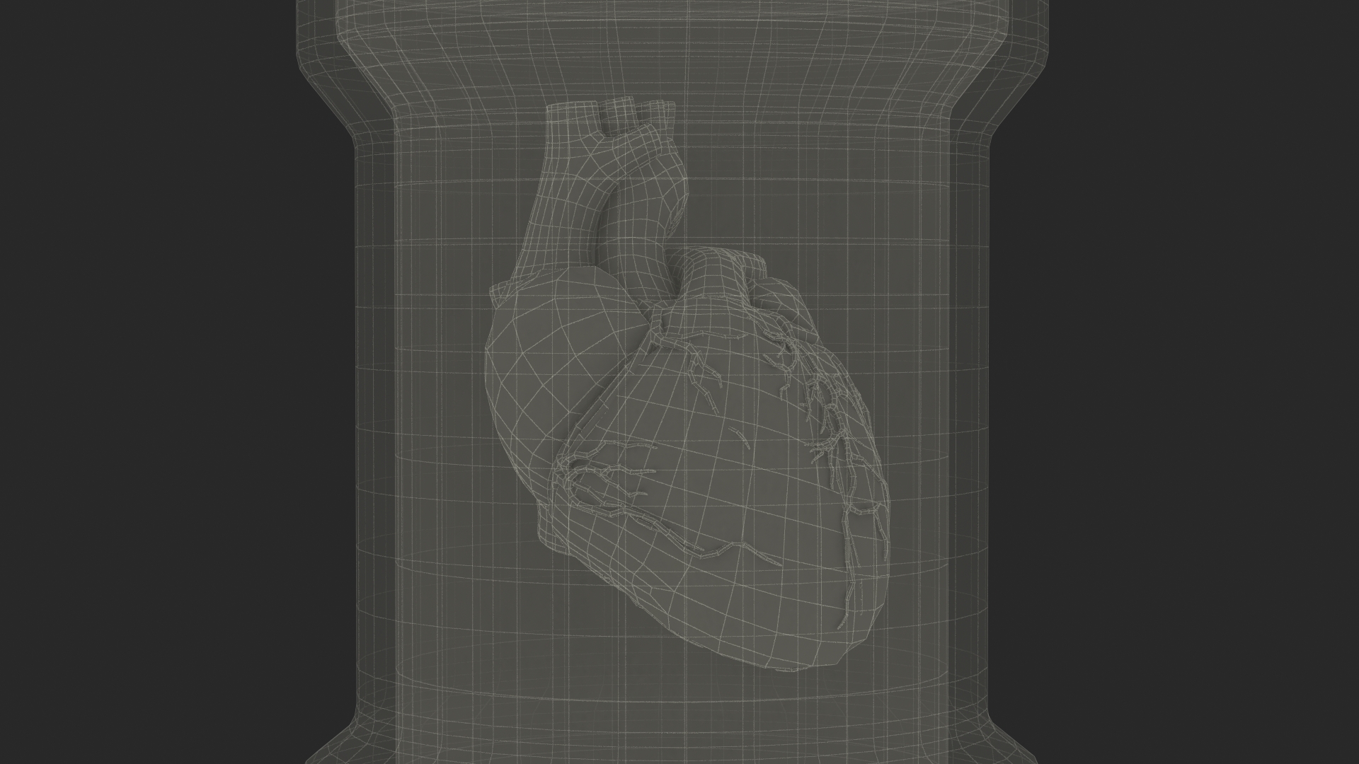 3D Human Heart in Old Glass Jar model