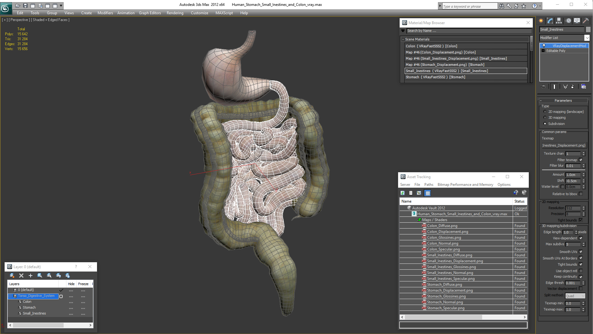 Human Stomach Small Inestines and Colon 3D model