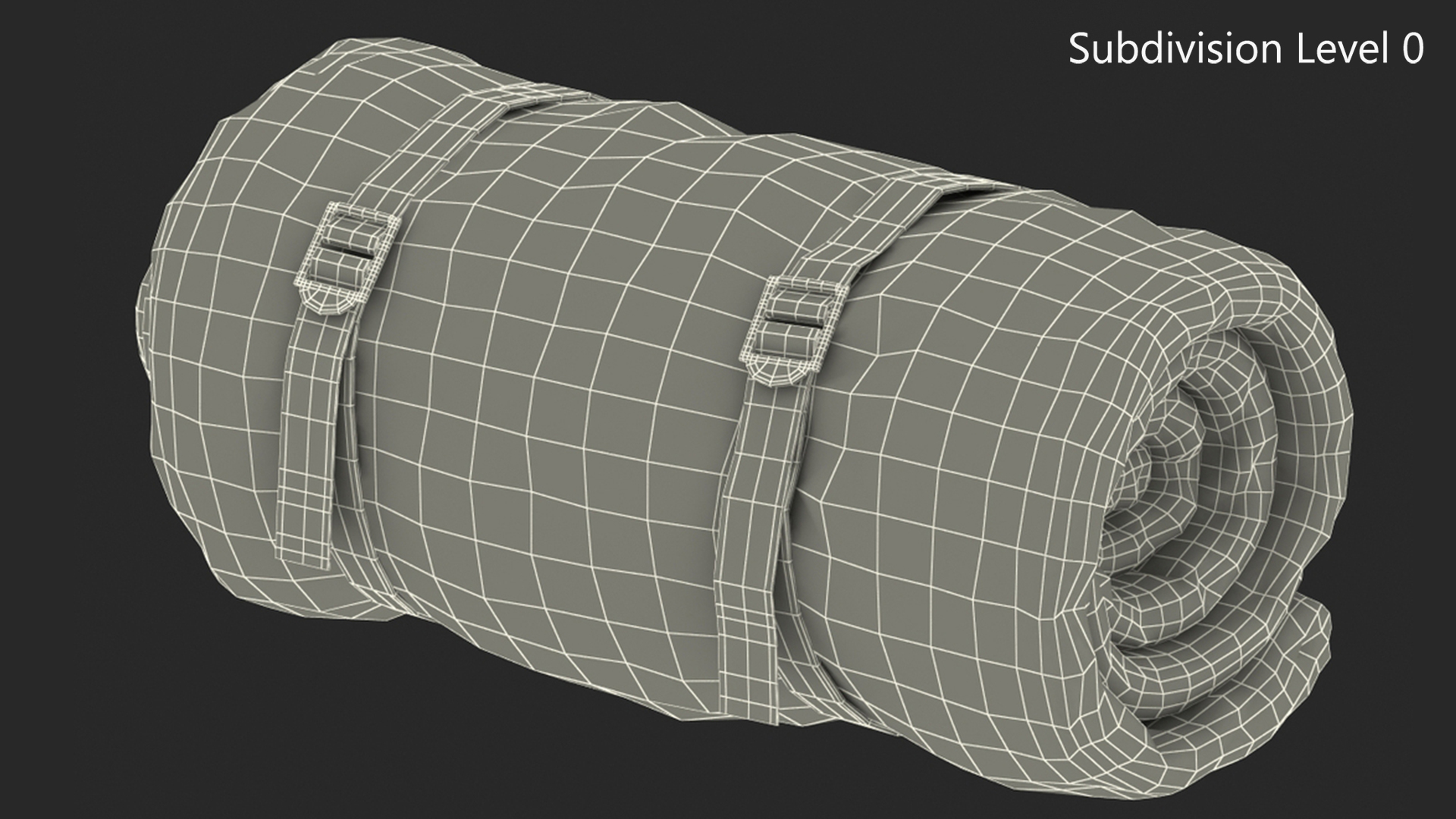 3D Rolled Sleeping Bag with Straps