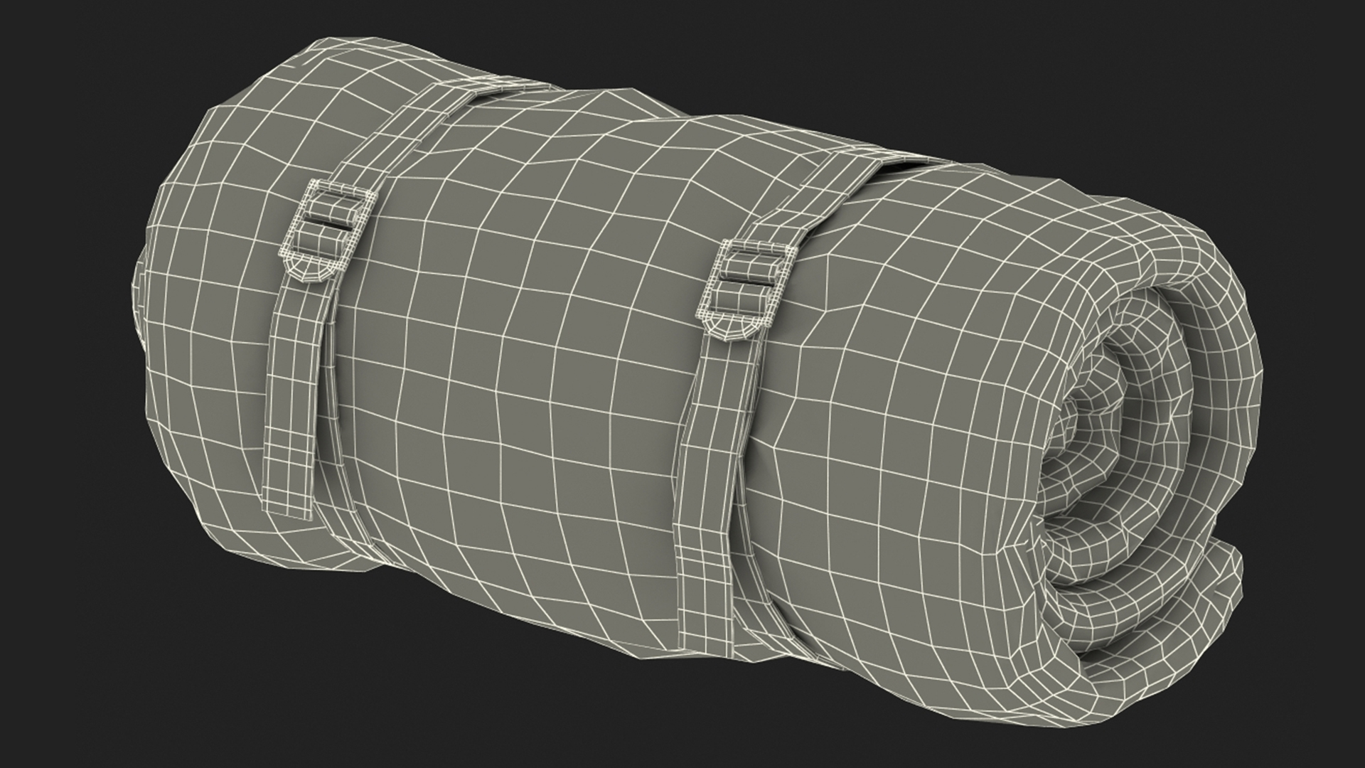 3D Rolled Sleeping Bag with Straps
