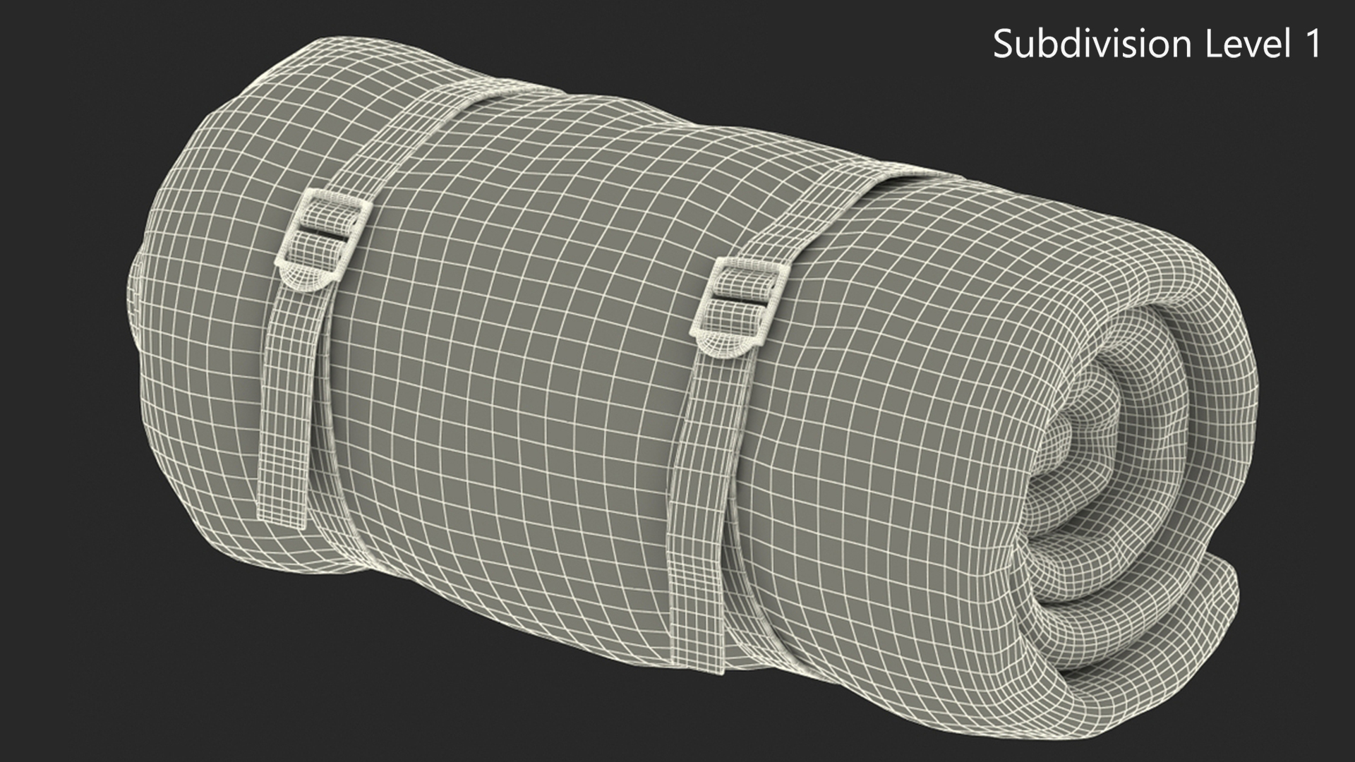 3D Rolled Sleeping Bag with Straps