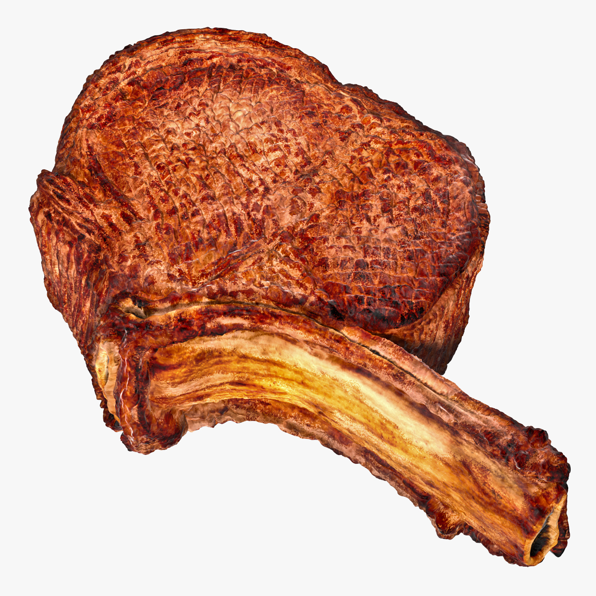 Beef Ribeye Steak Bone In 3D Model, view 4