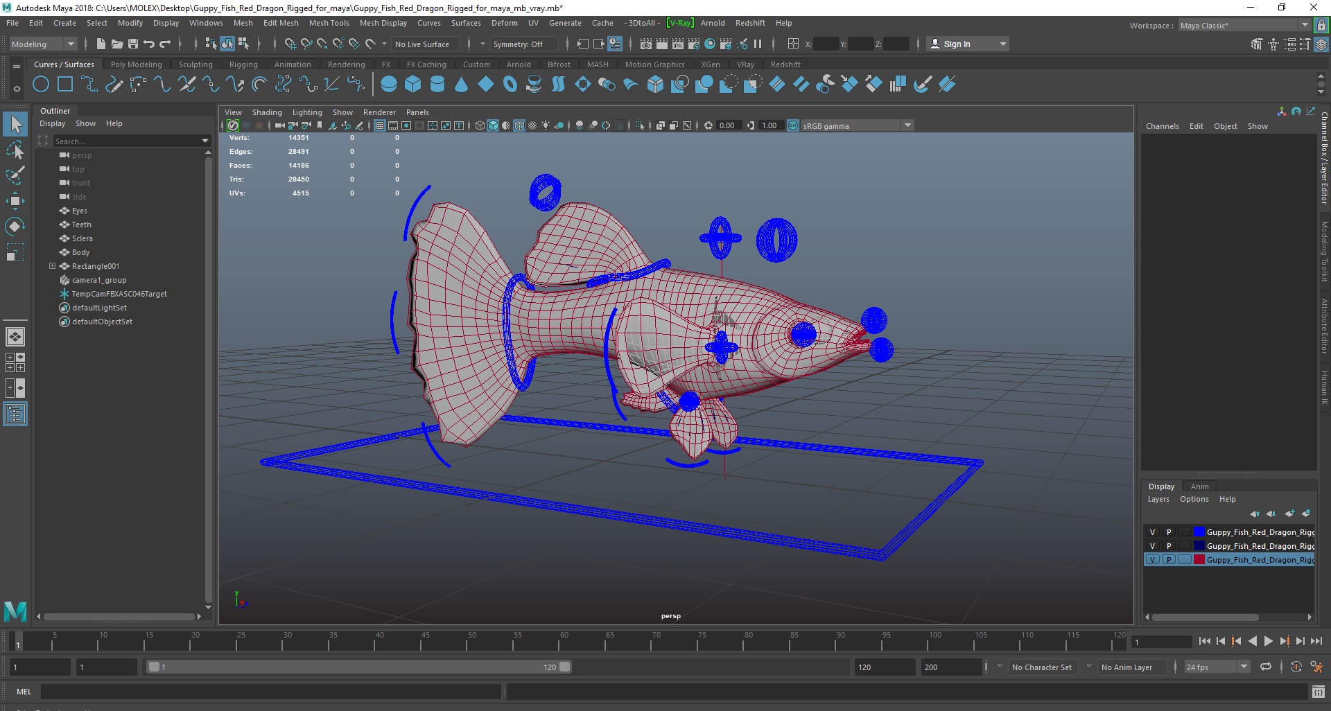 Guppy Fish Red Dragon Rigged for Maya 3D