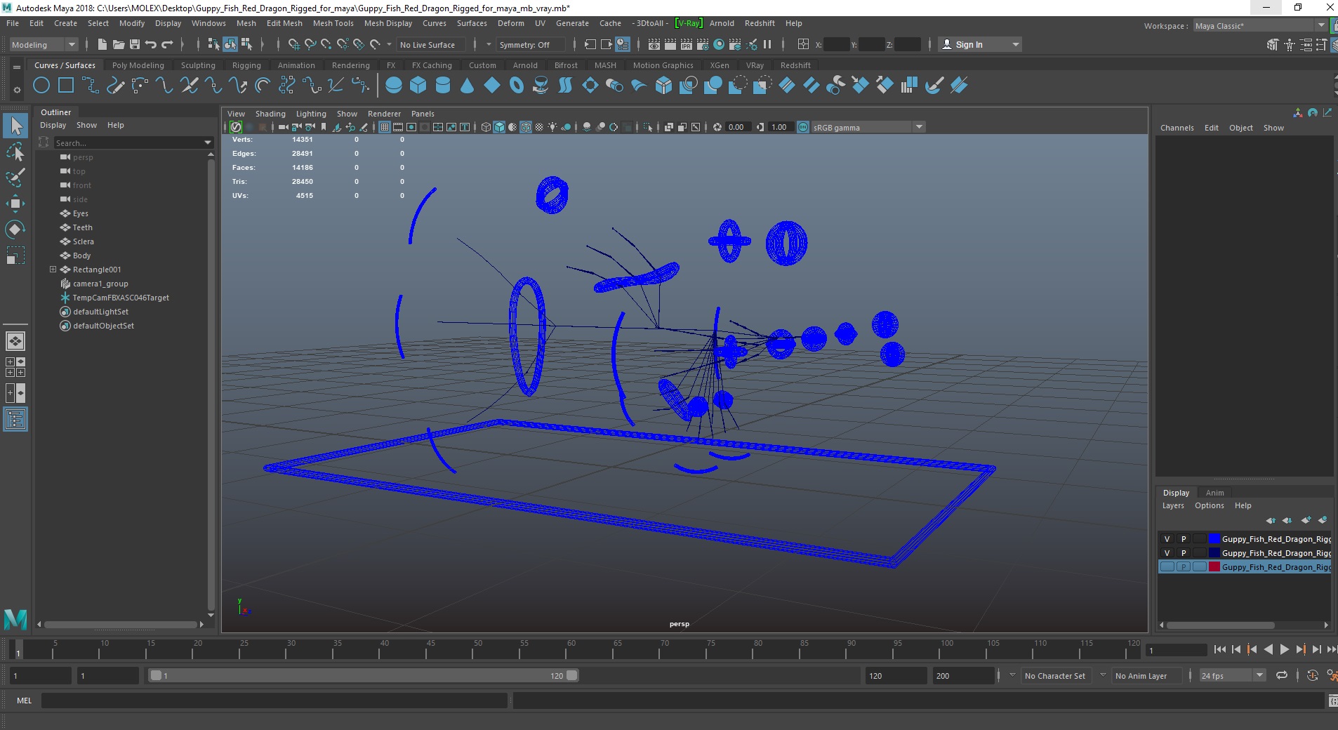 Guppy Fish Red Dragon Rigged for Maya 3D