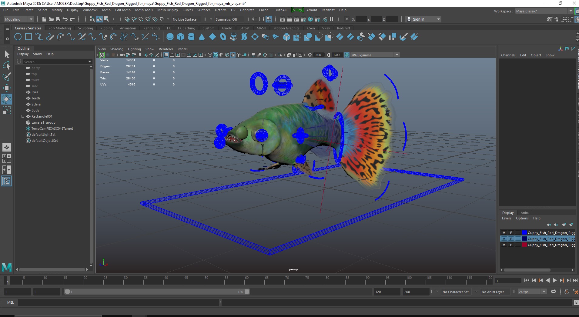 Guppy Fish Red Dragon Rigged for Maya 3D