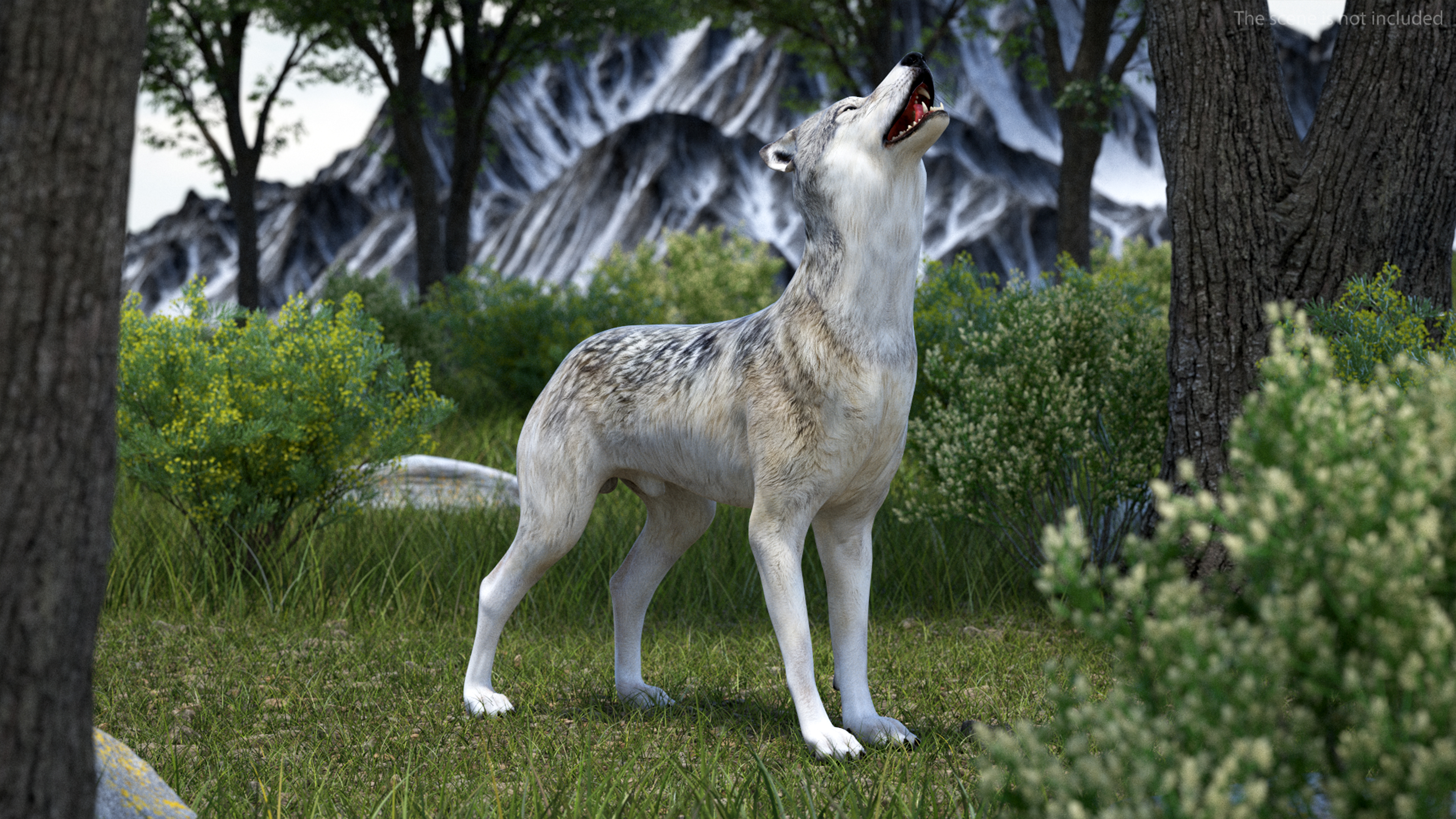 3D model Wolf Rigged for Cinema 4D