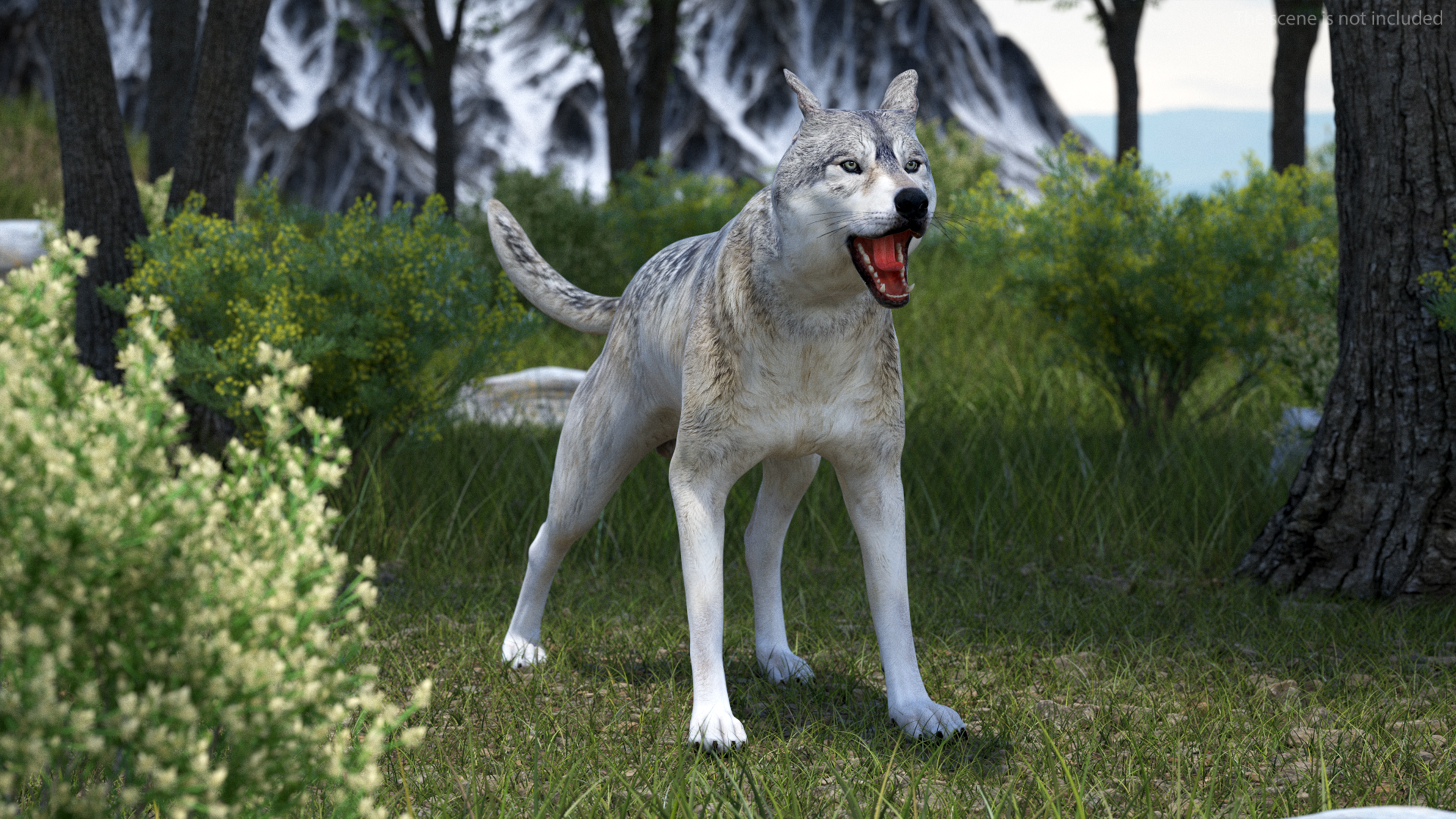 3D model Wolf Rigged for Cinema 4D