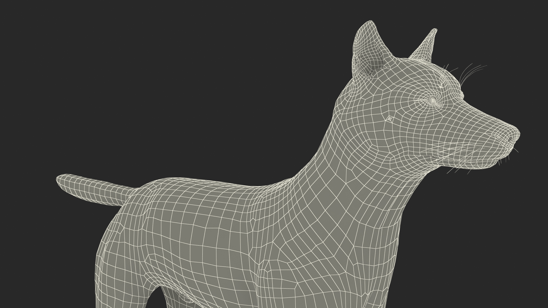 3D model Wolf Rigged for Cinema 4D