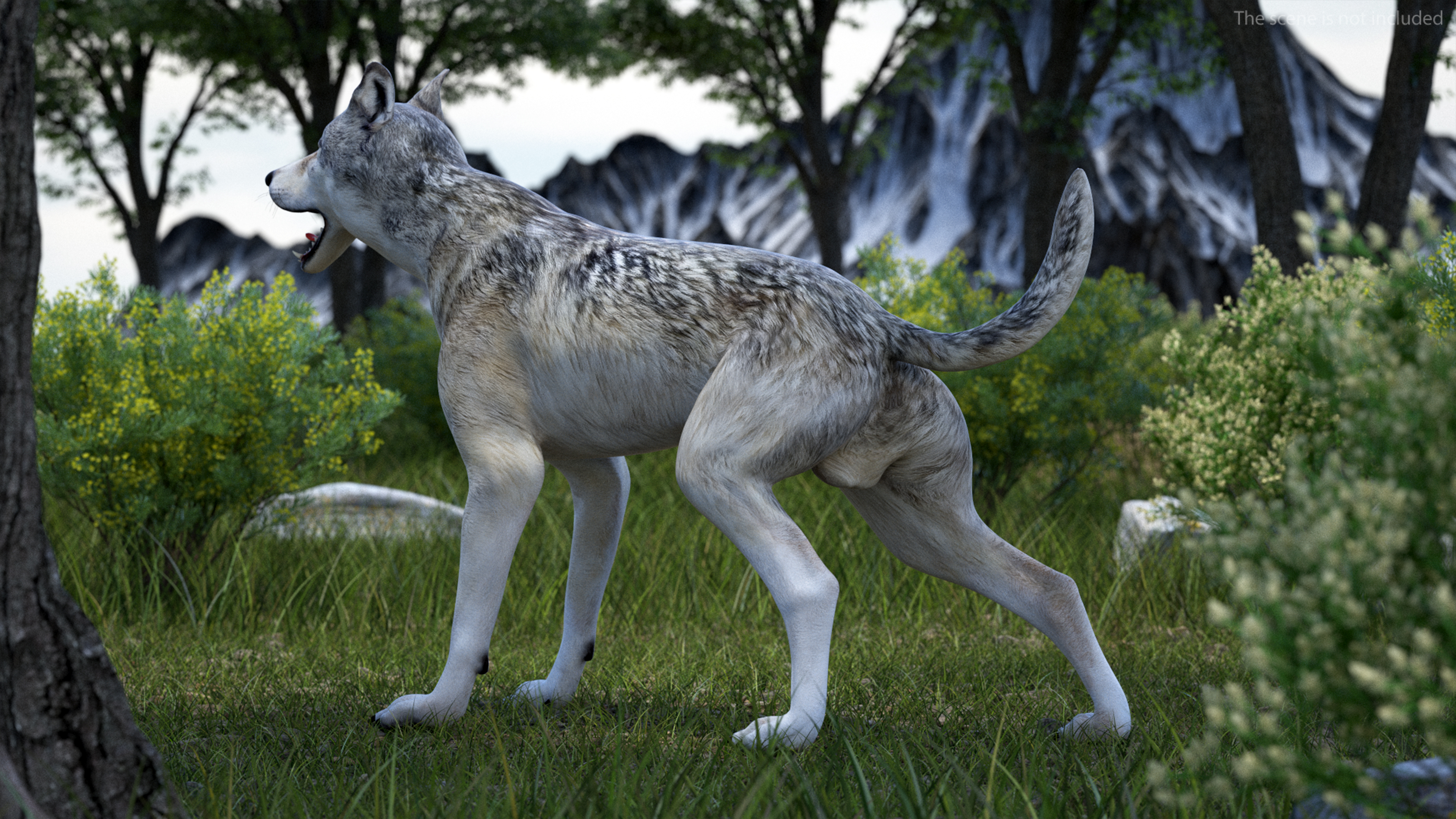 3D model Wolf Rigged for Cinema 4D