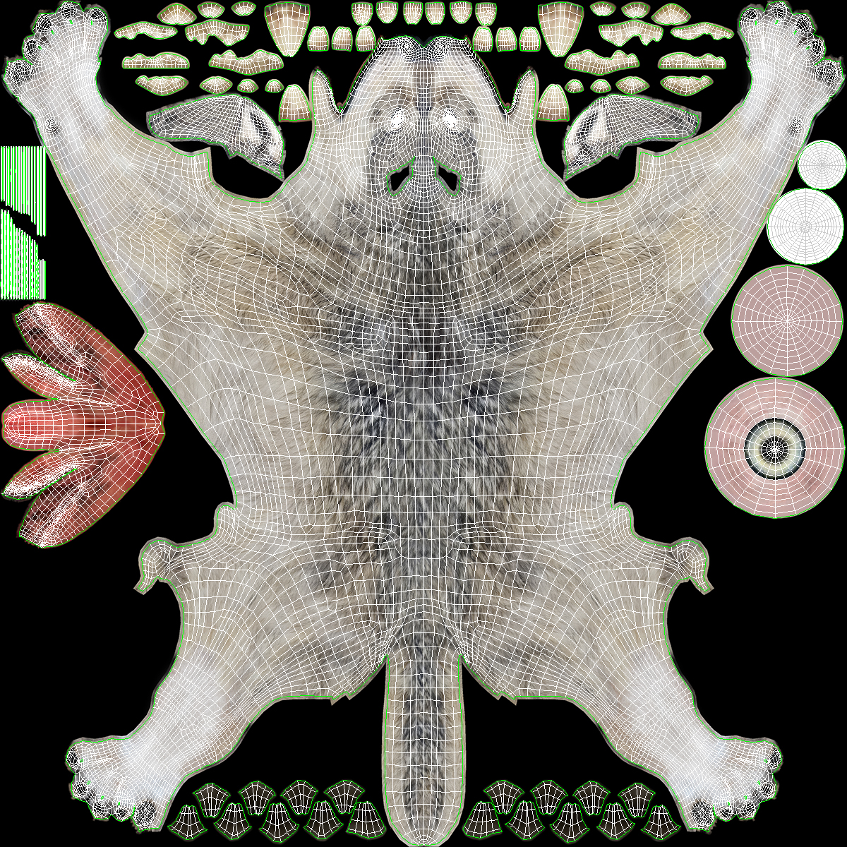 3D model Wolf Rigged for Cinema 4D