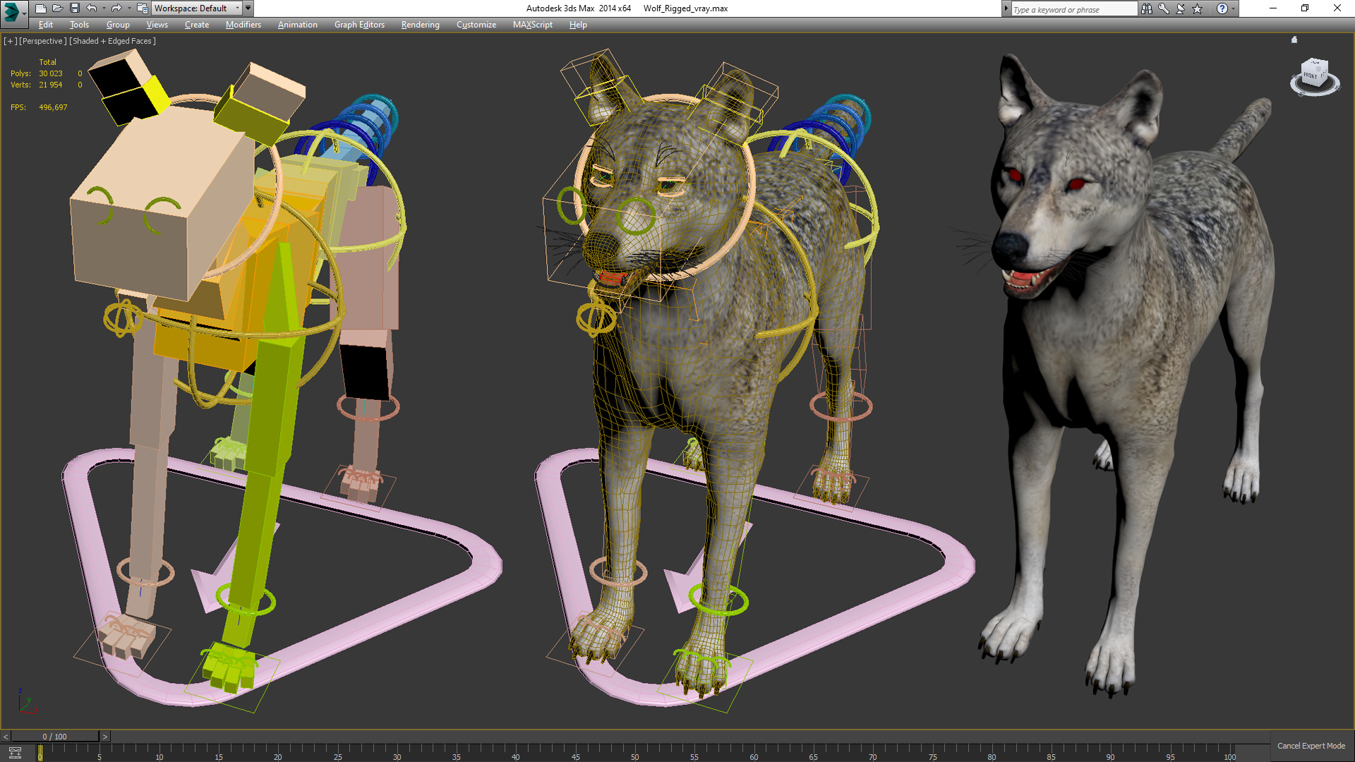 3D model Wolf Rigged for Cinema 4D