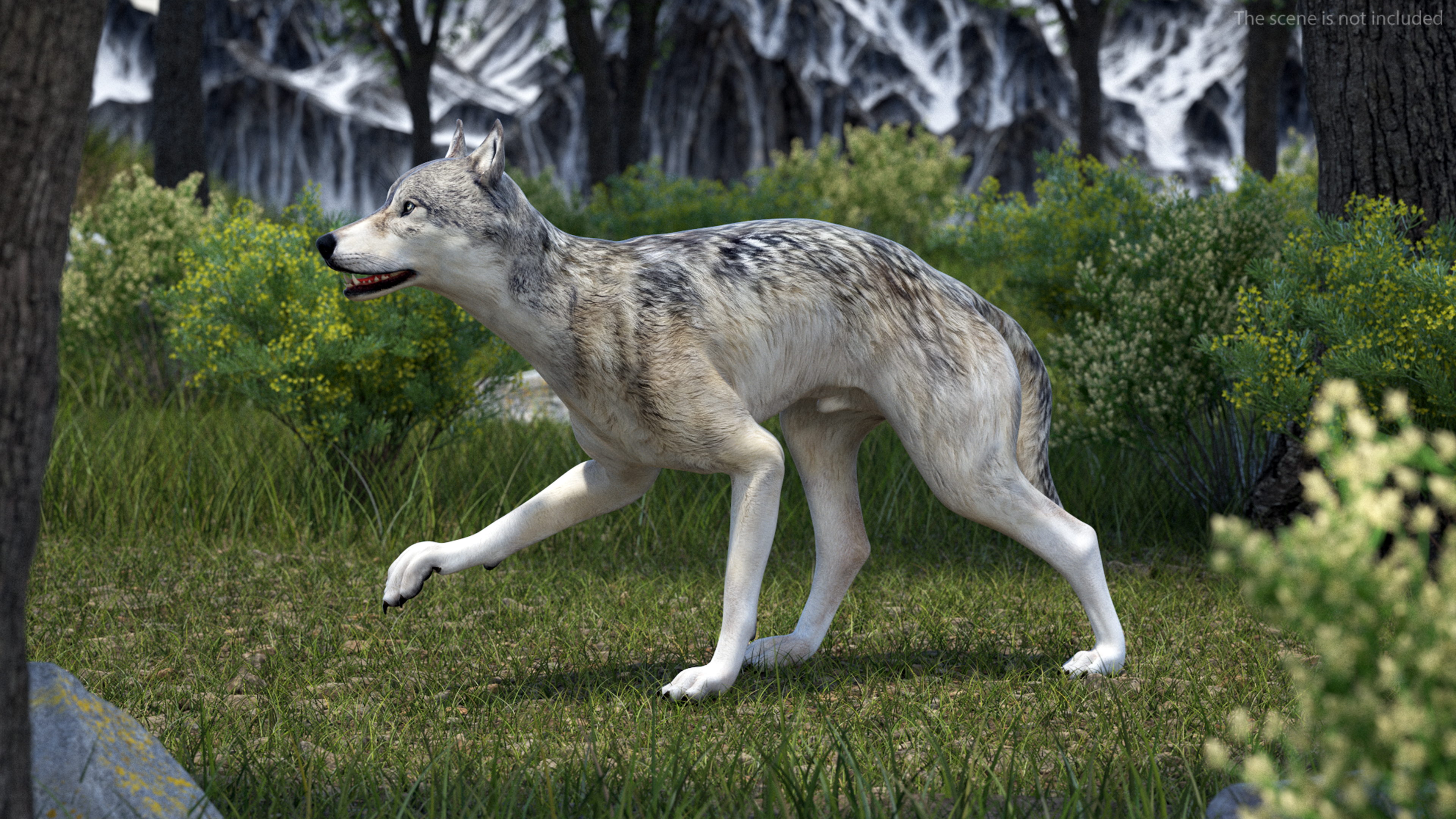 3D model Wolf Rigged for Cinema 4D