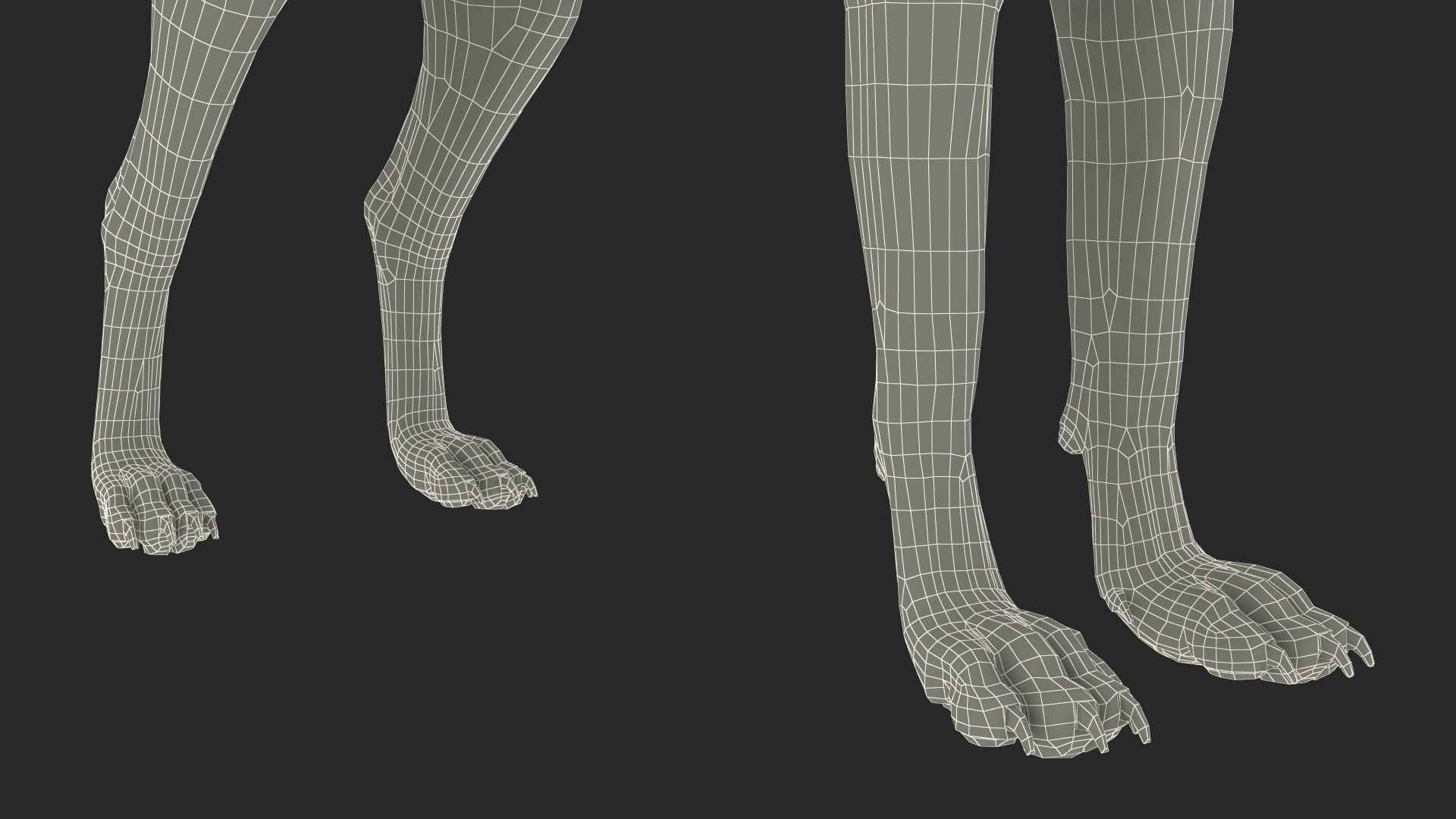 3D model Wolf Rigged for Cinema 4D