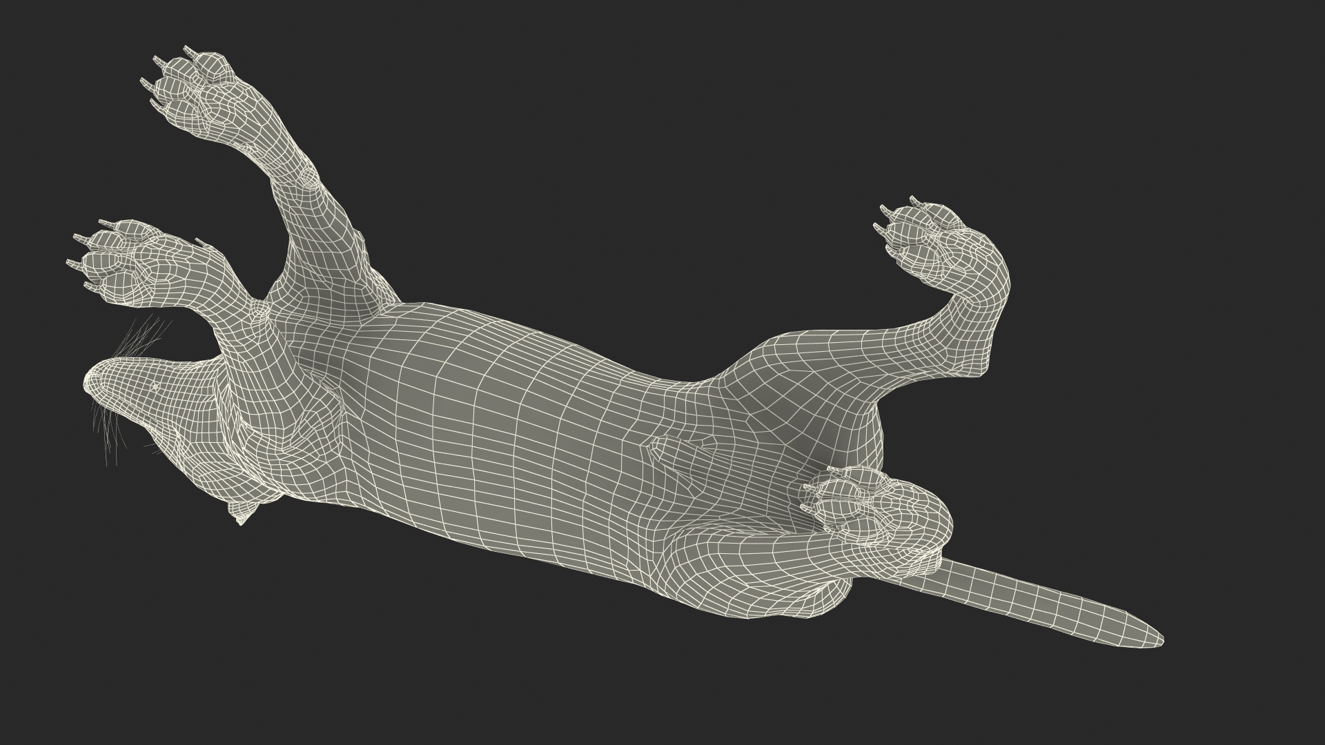 3D model Wolf Rigged for Cinema 4D