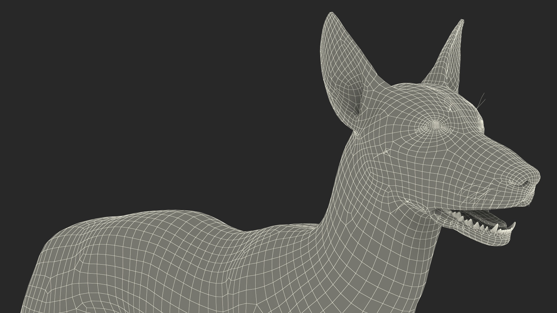 3D Xolo Hairless Mexican Dog Fawn Rigged for Maya