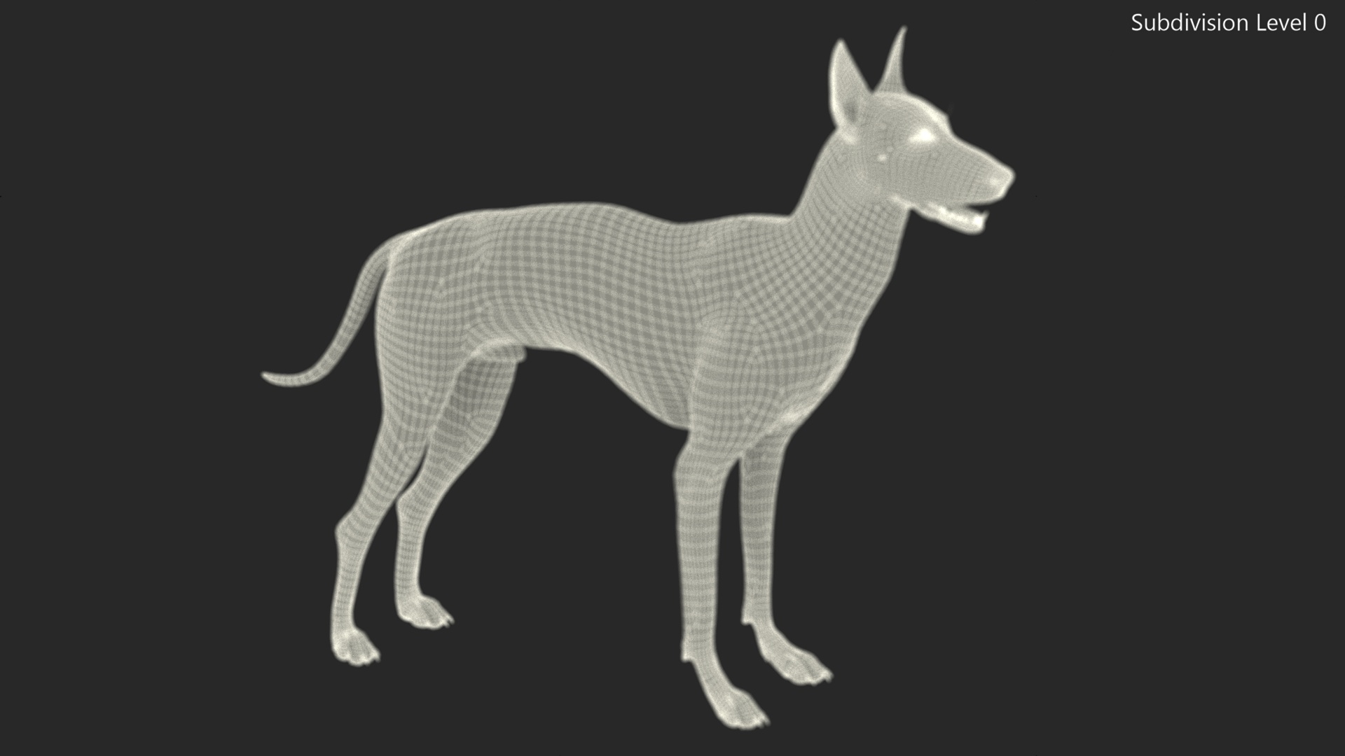 3D Xolo Hairless Mexican Dog Fawn Rigged for Maya