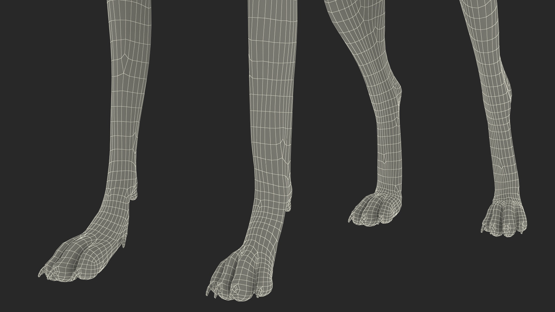 3D Xolo Hairless Mexican Dog Fawn Rigged for Maya