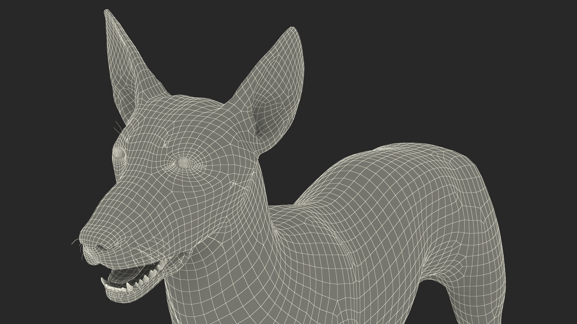 3D Xolo Hairless Mexican Dog Fawn Rigged for Maya