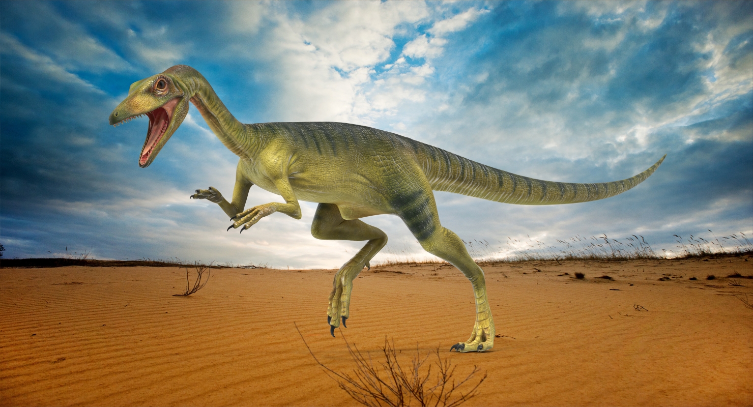 3D Compsognathus Dinosaur Run Pose