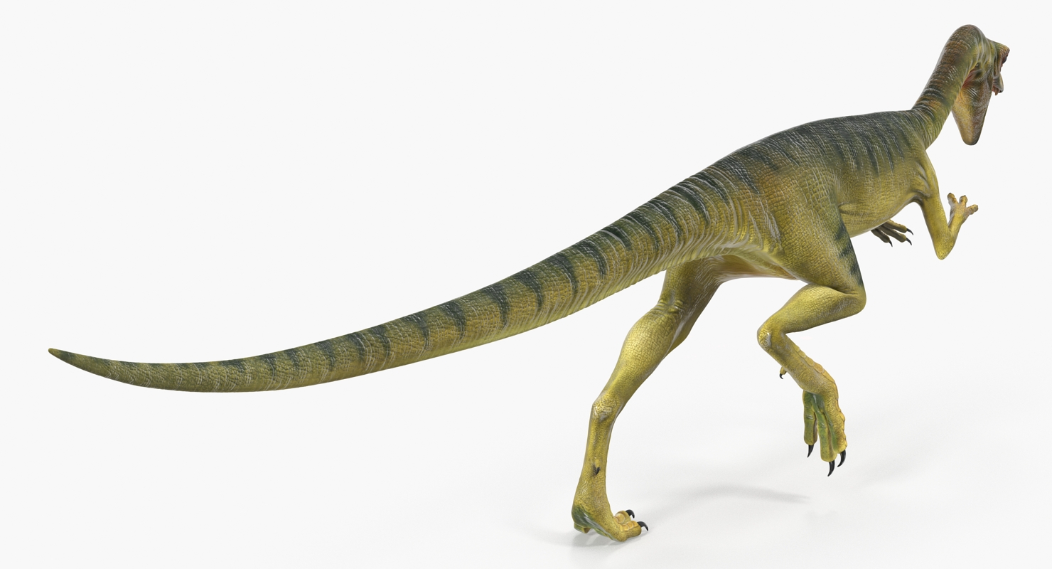 3D Compsognathus Dinosaur Run Pose