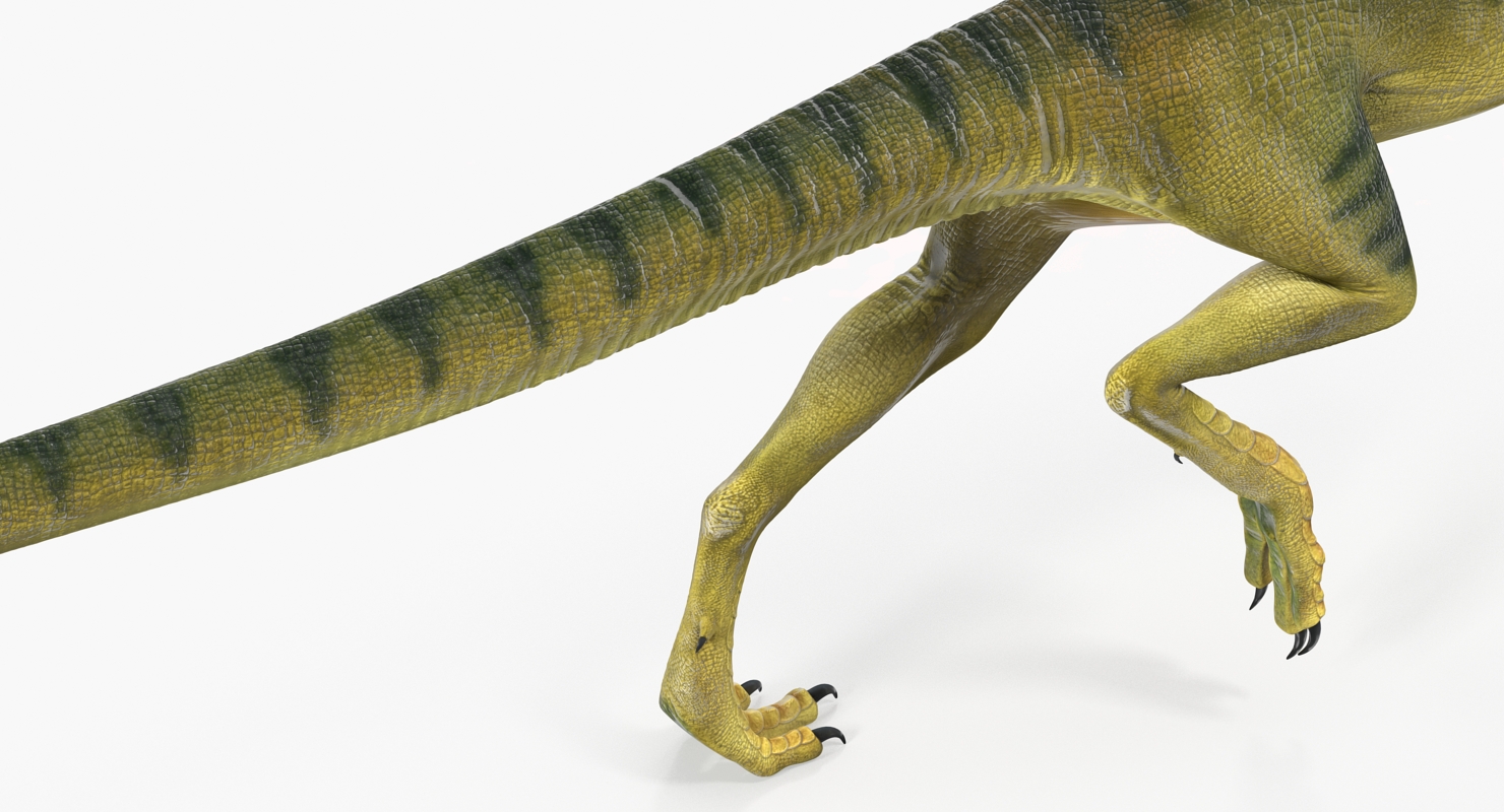 3D Compsognathus Dinosaur Run Pose