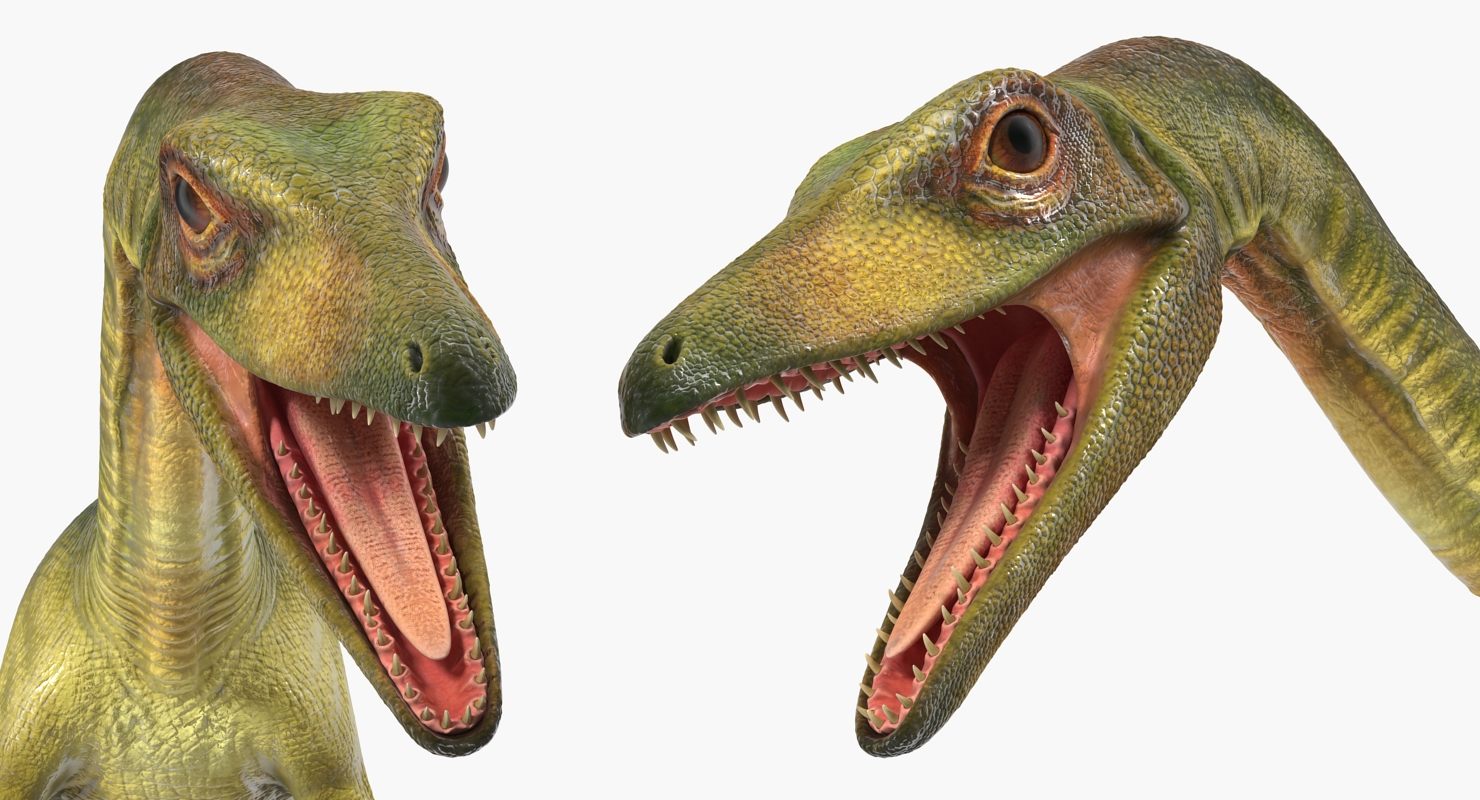 3D Compsognathus Dinosaur Run Pose