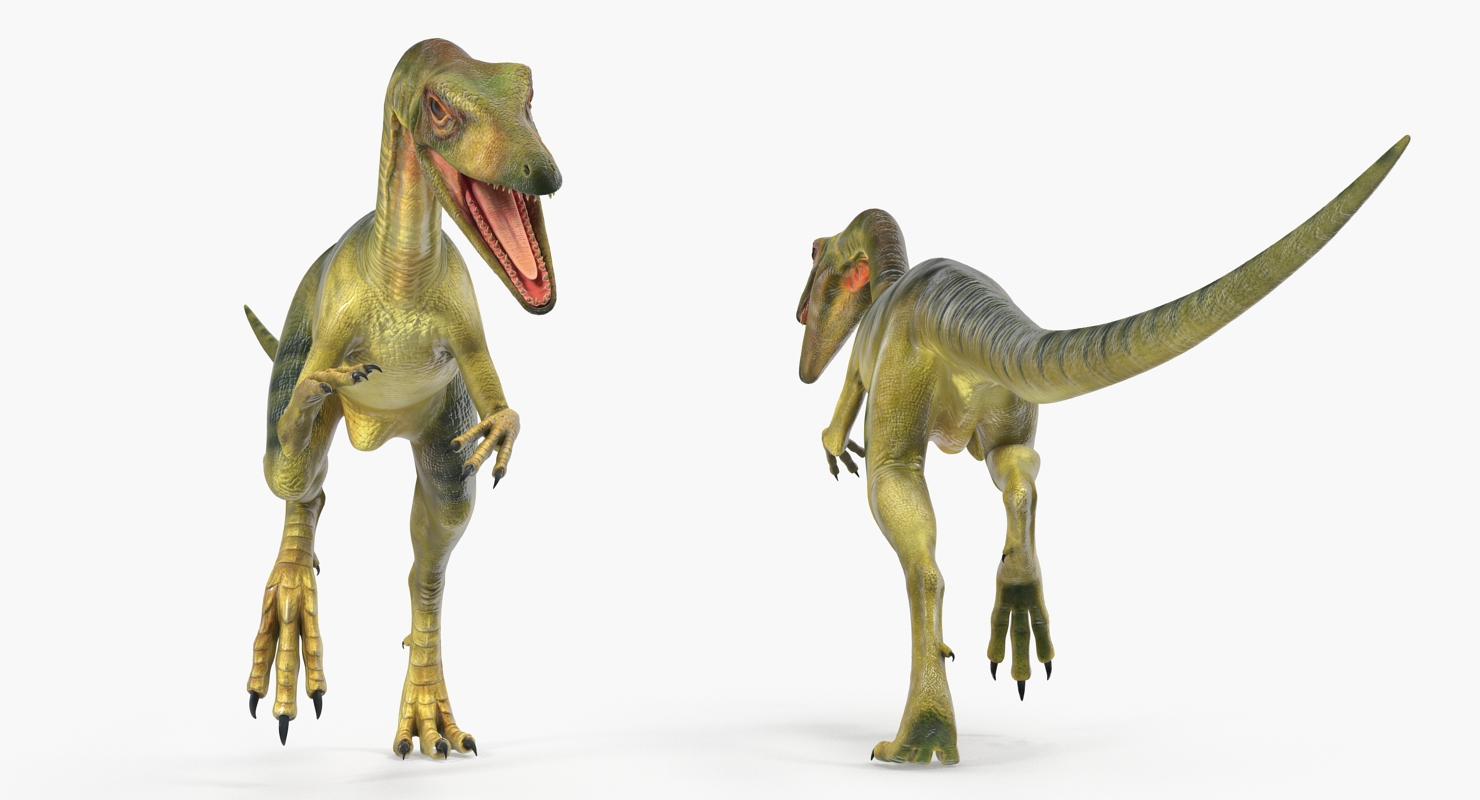 3D Compsognathus Dinosaur Run Pose