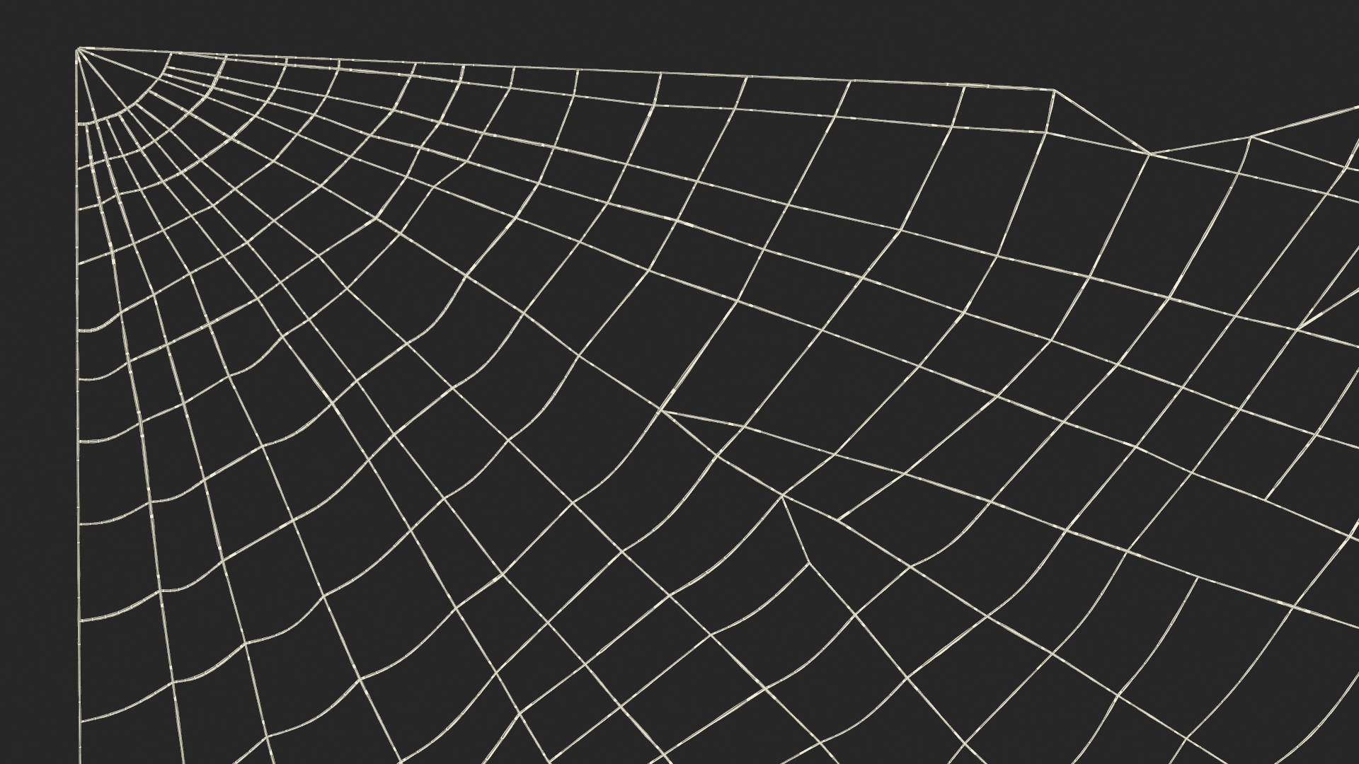 Corner Spider Web 3D