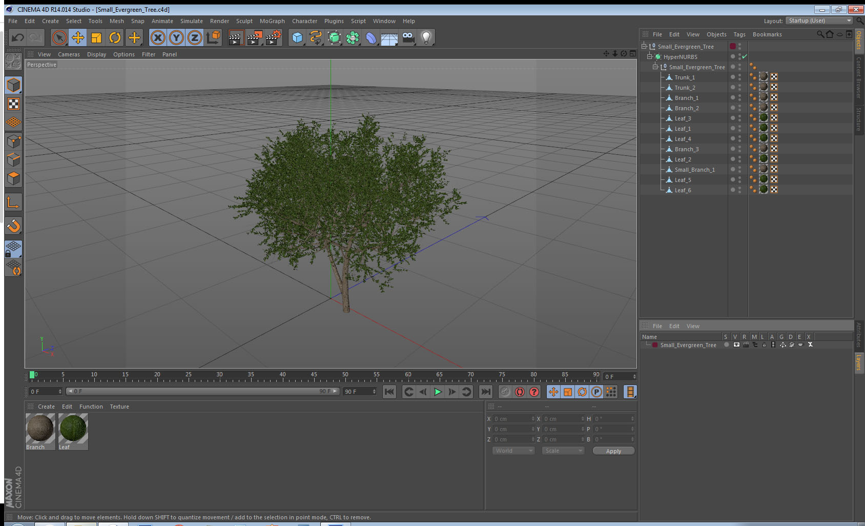 3D model Small Evergreen Tree