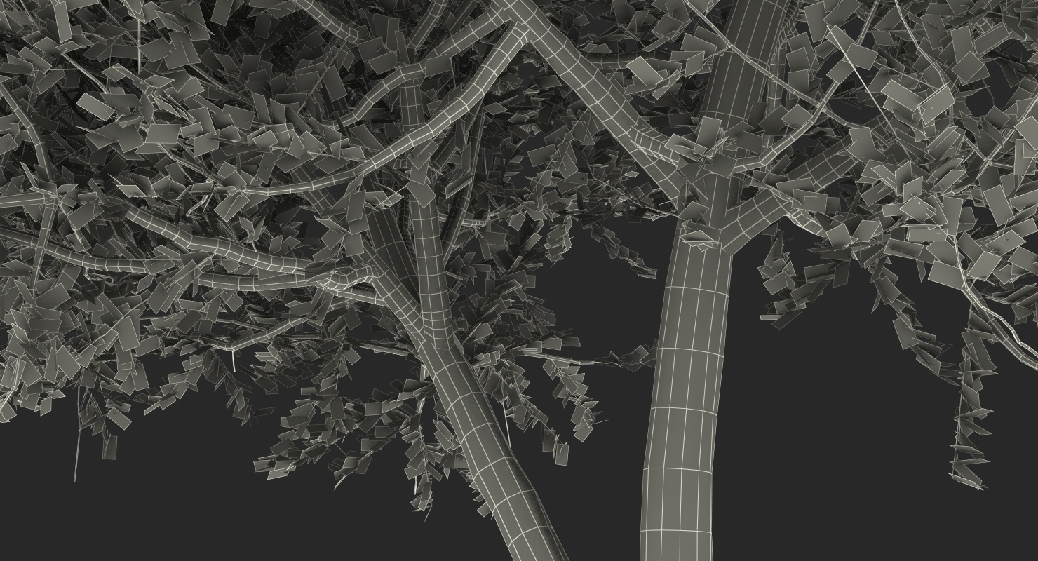 3D model Small Evergreen Tree