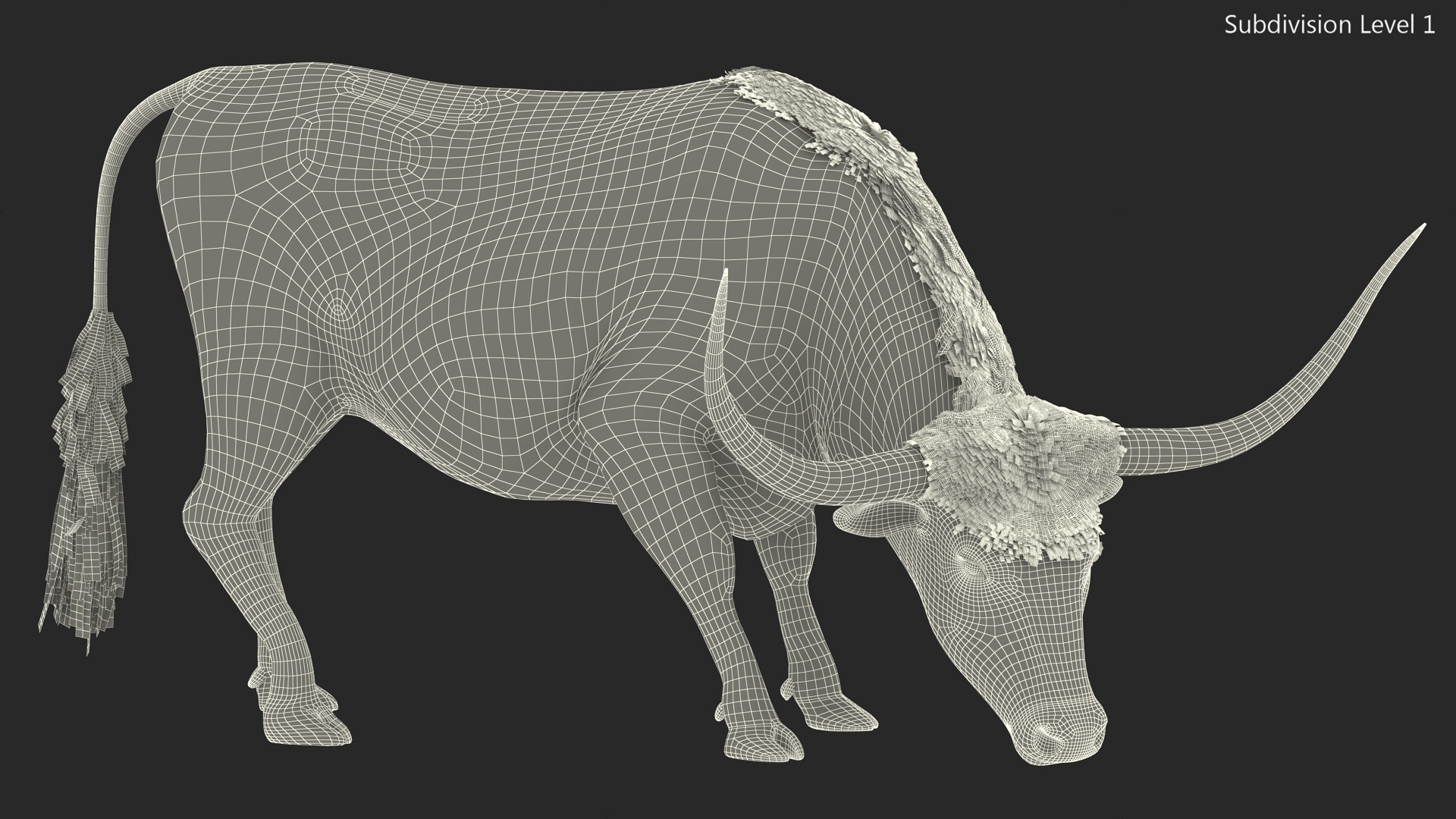 Texas Longhorn Cattle White Color Fur 3D
